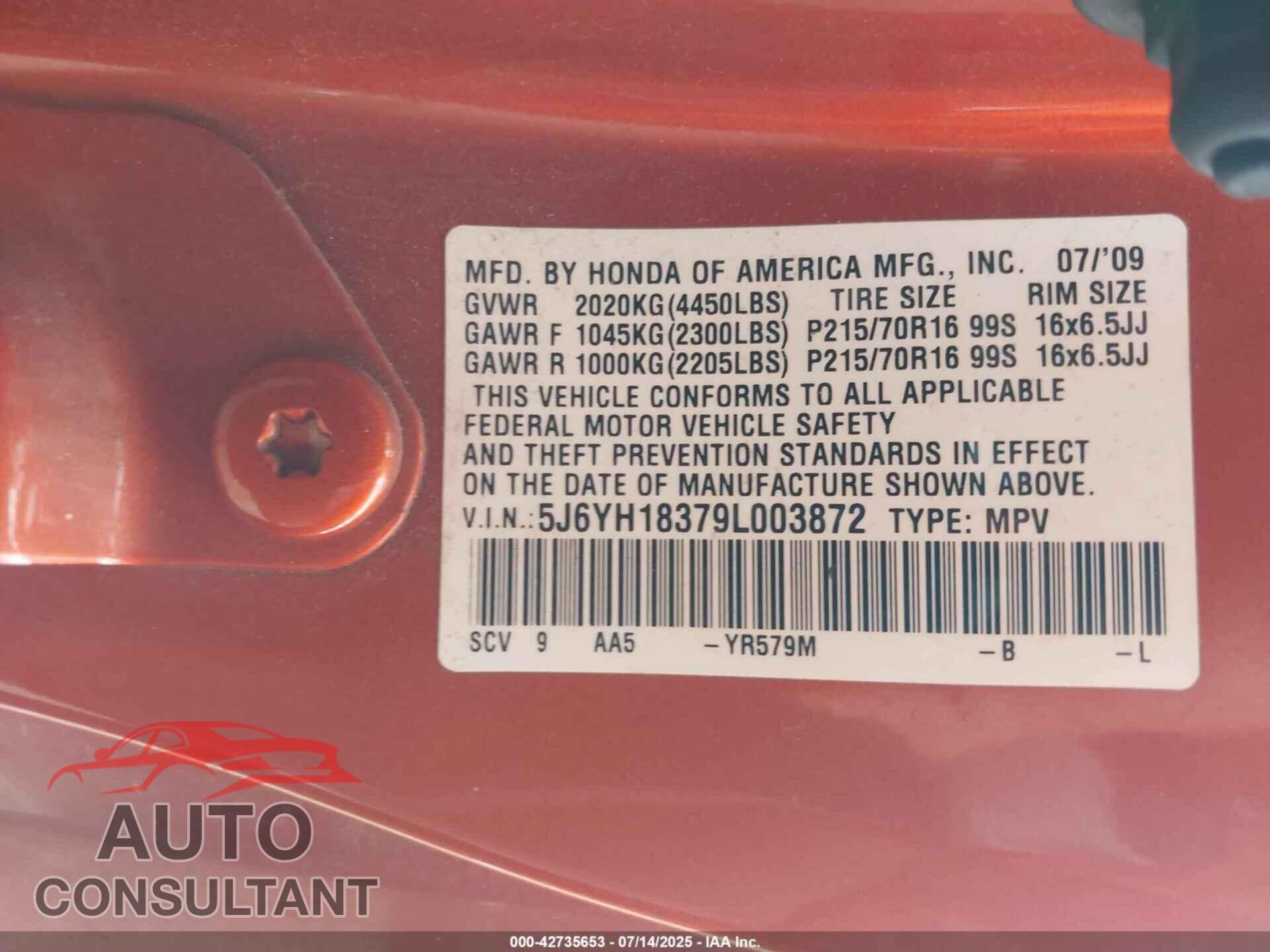 HONDA ELEMENT 2009 - 5J6YH18379L003872