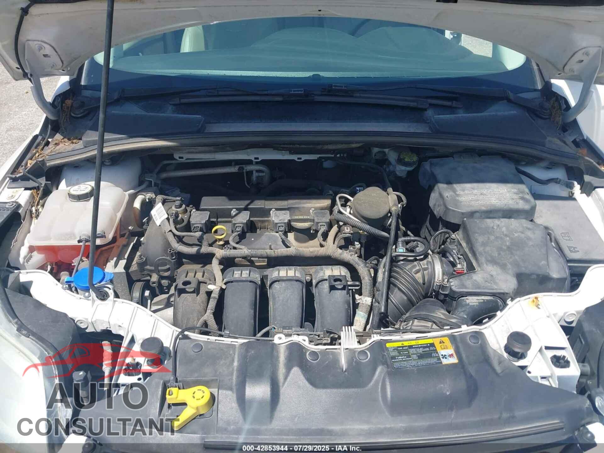 FORD FOCUS 2012 - 1FAHP3M23CL382108