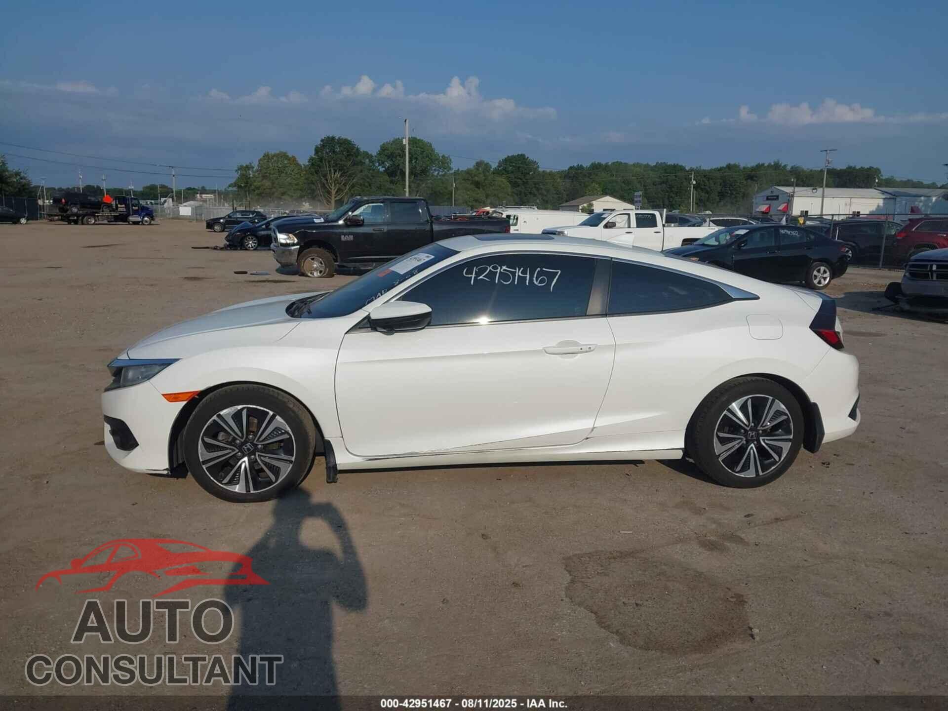 HONDA CIVIC 2016 - 2HGFC3B37GH362389