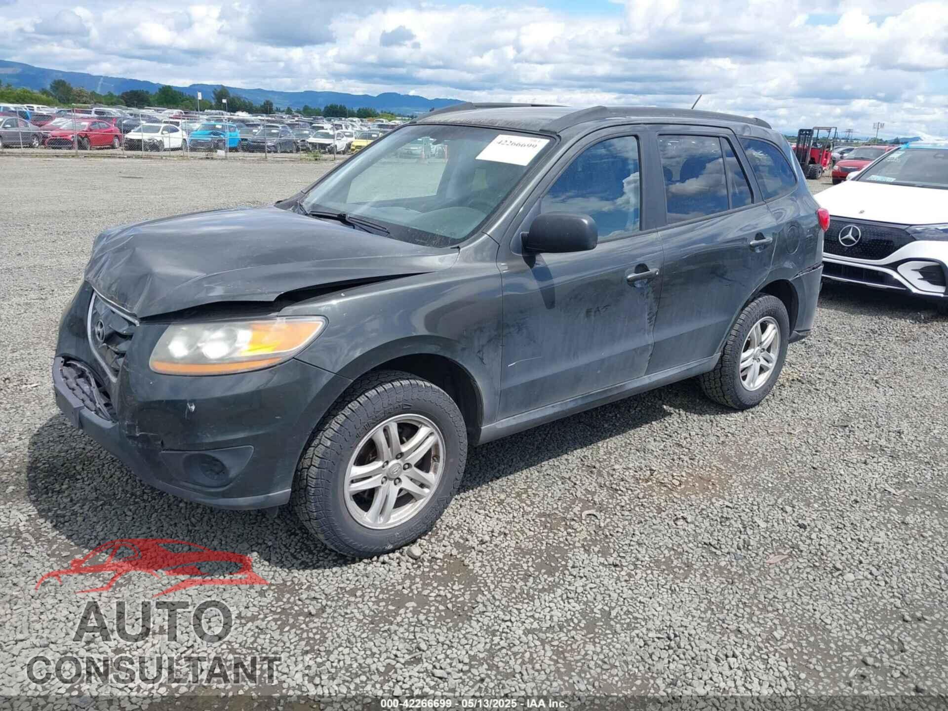 HYUNDAI SANTA FE 2010 - 5NMSGDAB8AH342857