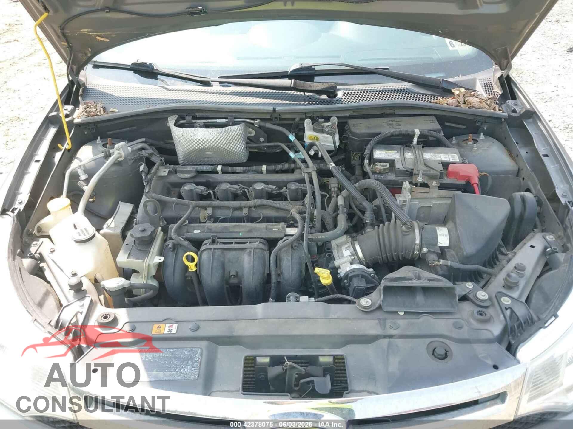 FORD FOCUS 2010 - 1FAHP3HN4AW239698