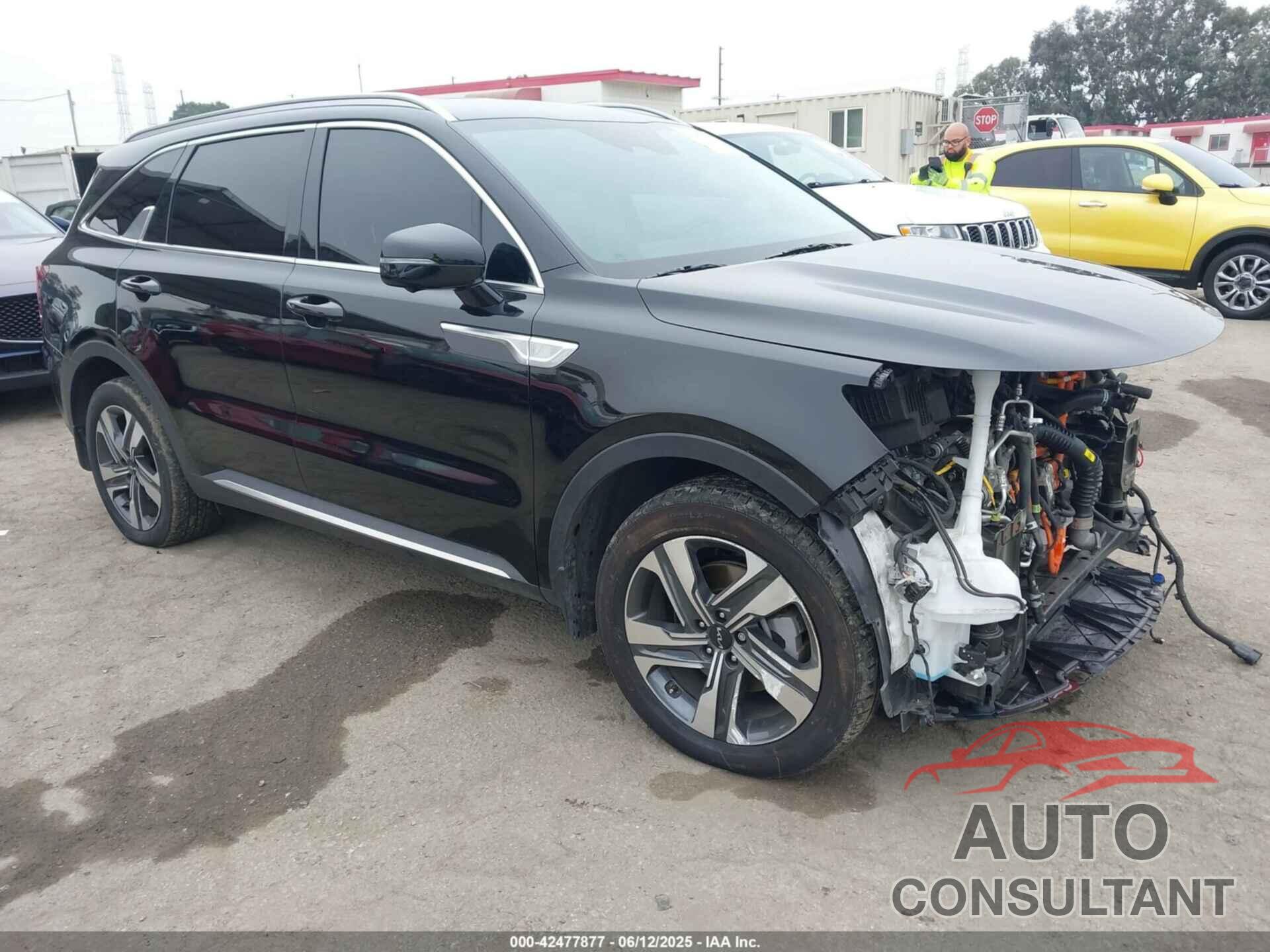 KIA SORENTO HYBRID 2024 - KNDRKDLGXR5247947