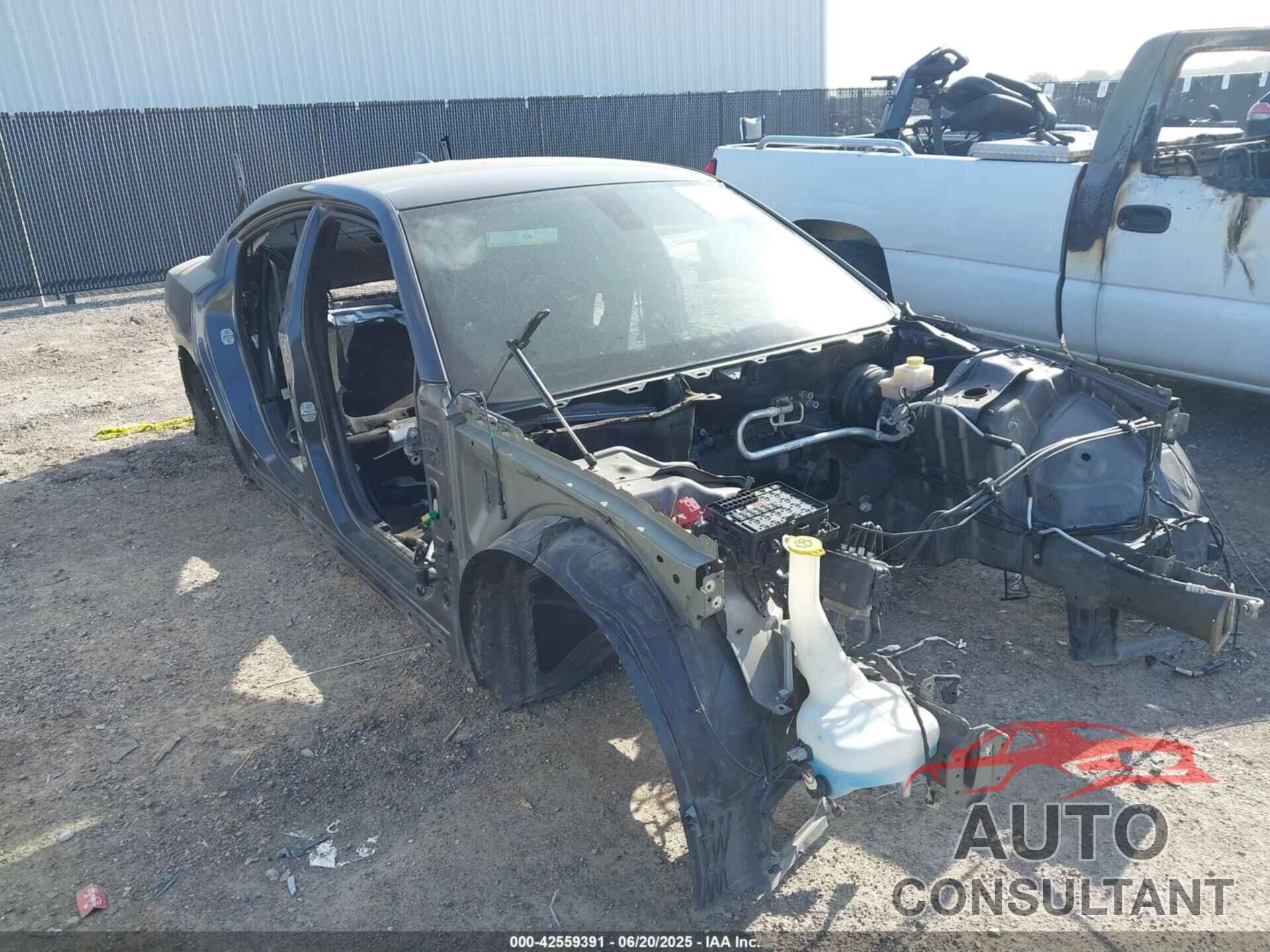 DODGE CHARGER 2019 - 2C3CDXGJ8KH725972