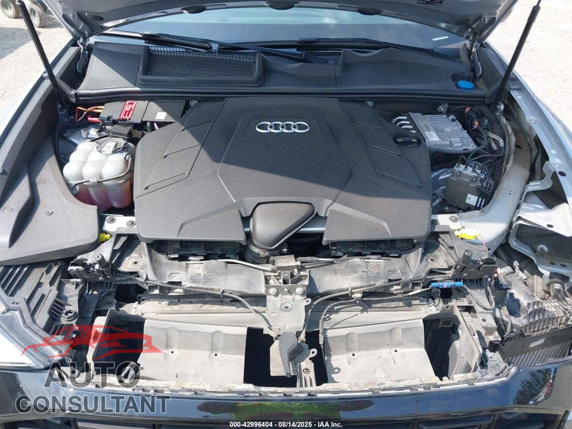 AUDI Q8 2019 - WA1EVAF11KD018462