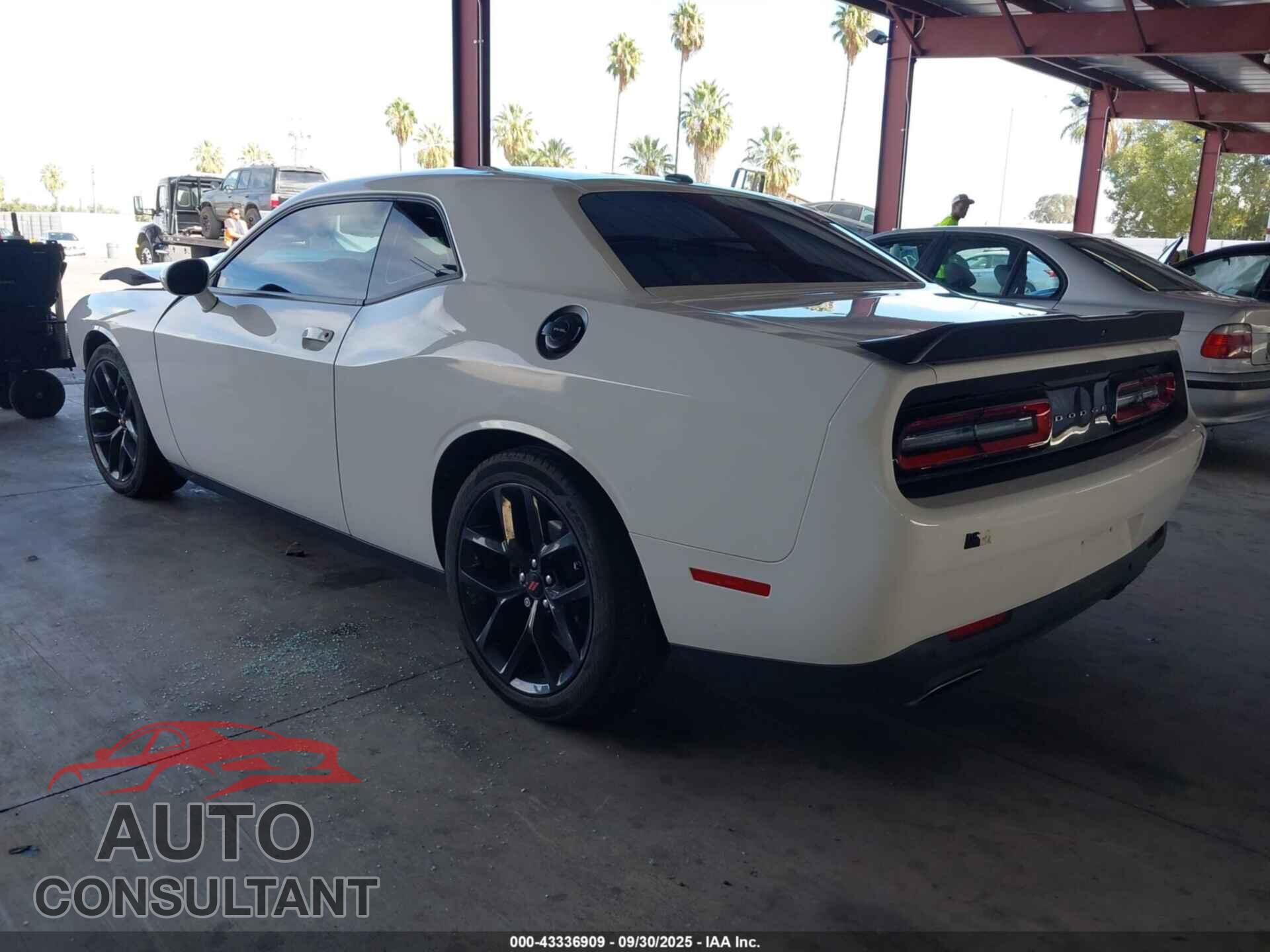 DODGE CHALLENGER 2019 - 2C3CDZJG9KH677326
