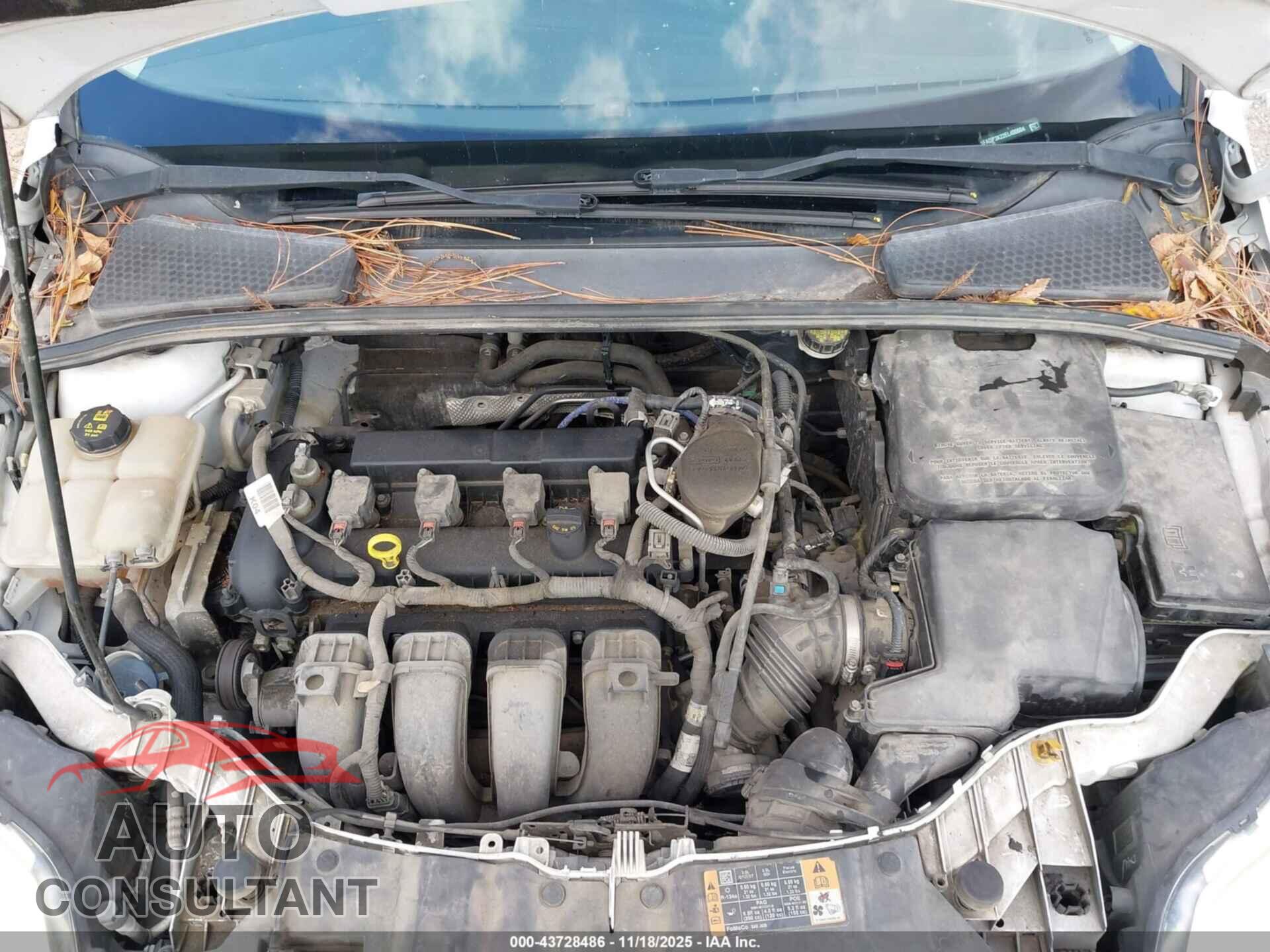 FORD FOCUS 2014 - 1FADP3K22EL400604