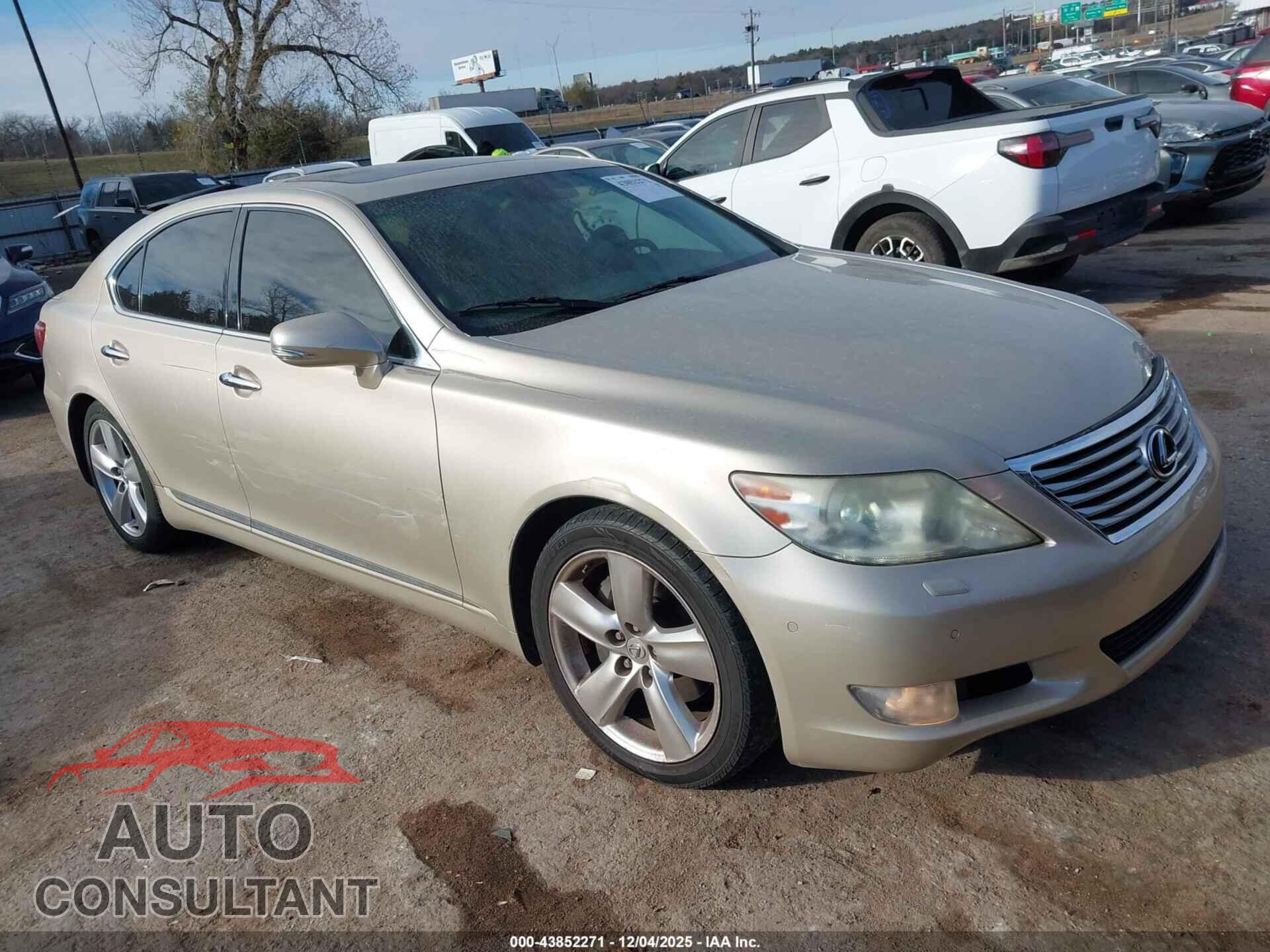 LEXUS LS 460 2010 - JTHBL5EF8A5101039