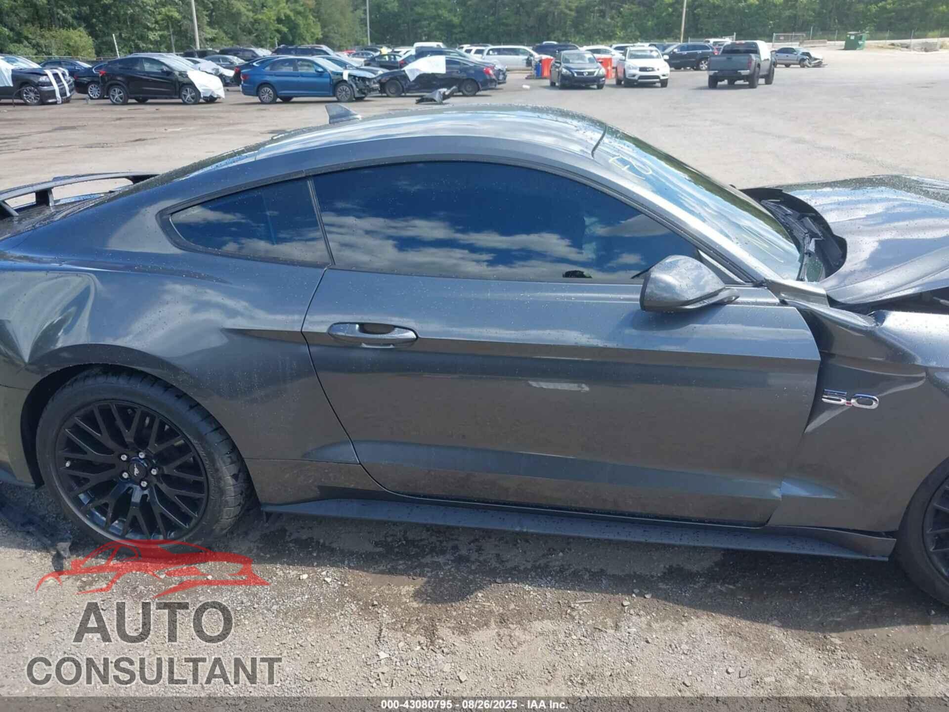FORD MUSTANG 2020 - 1FA6P8CF2L5169342