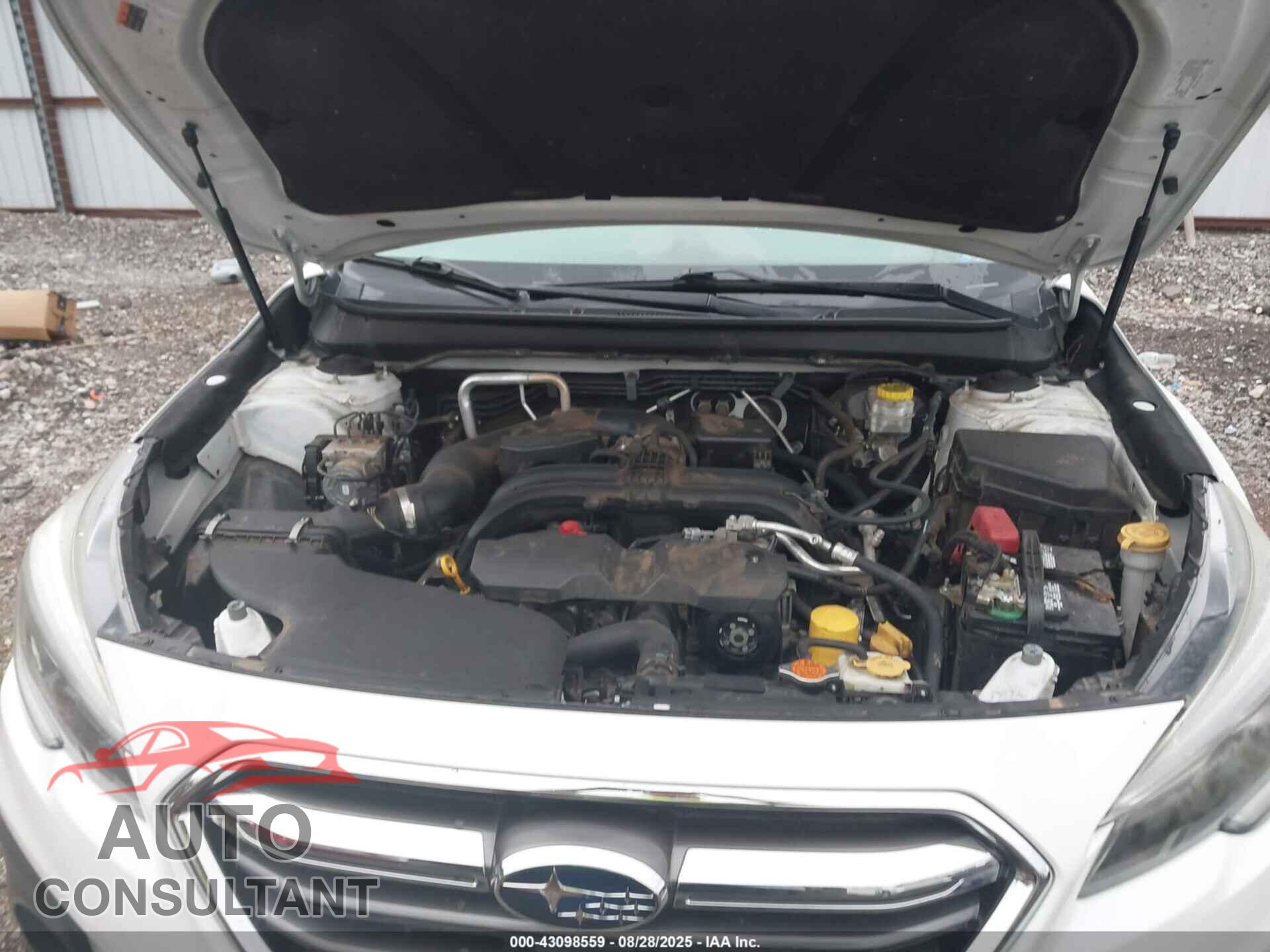 SUBARU OUTBACK 2019 - 4S4BSANCXK3372387