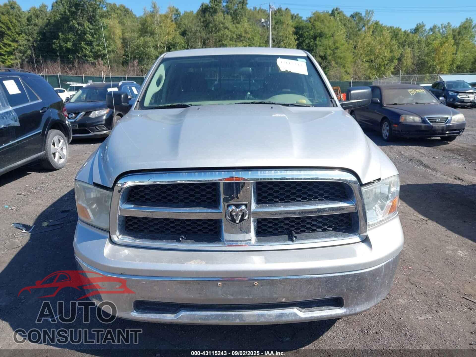 DODGE RAM 1500 2009 - 1D3HB18P29S796621