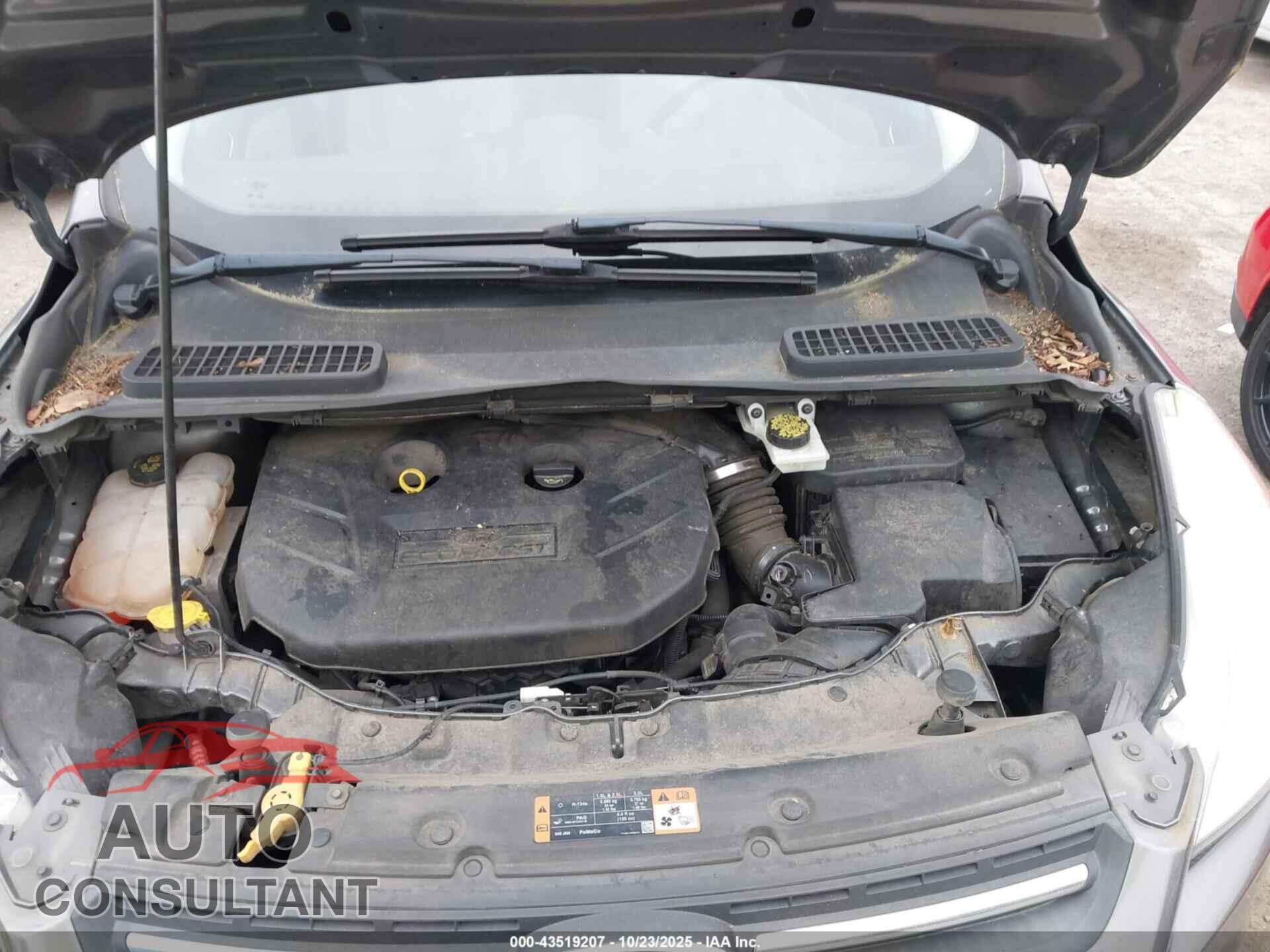 FORD ESCAPE 2014 - 1FMCU9G98EUC38071