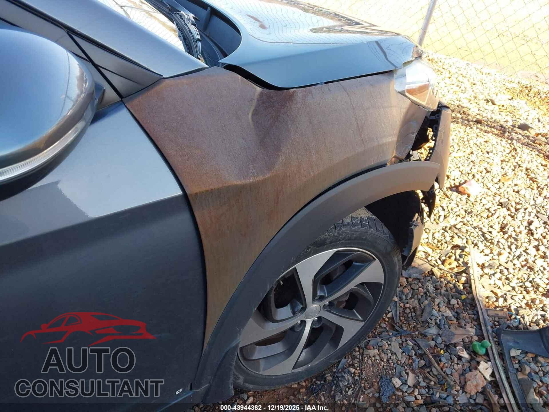 HYUNDAI TUCSON 2017 - KM8J3CA21HU554645