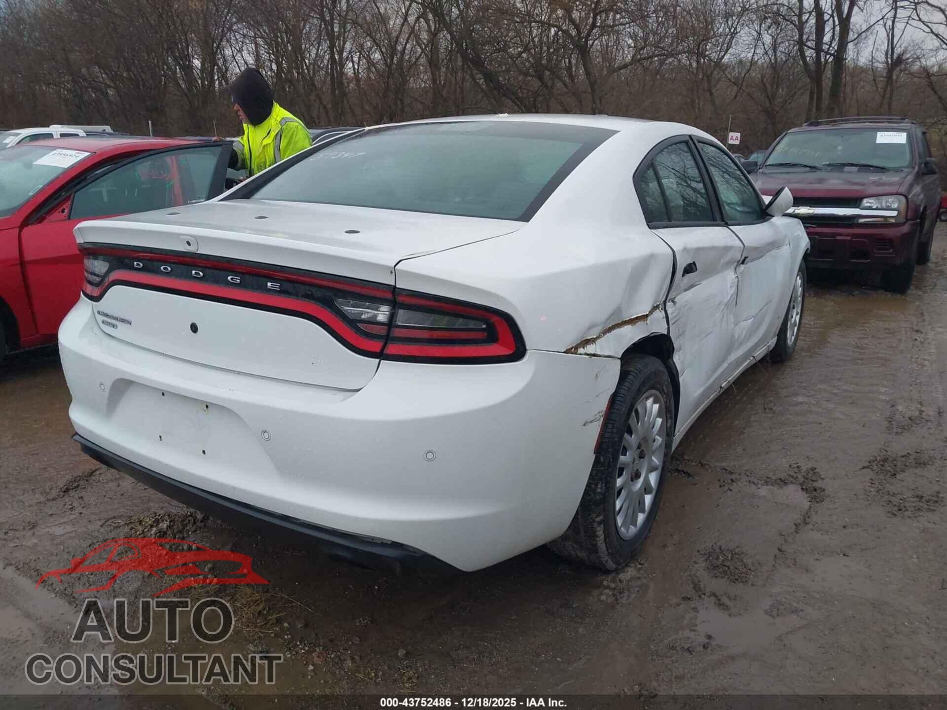 DODGE CHARGER 2019 - 2C3CDXKTXKH582077
