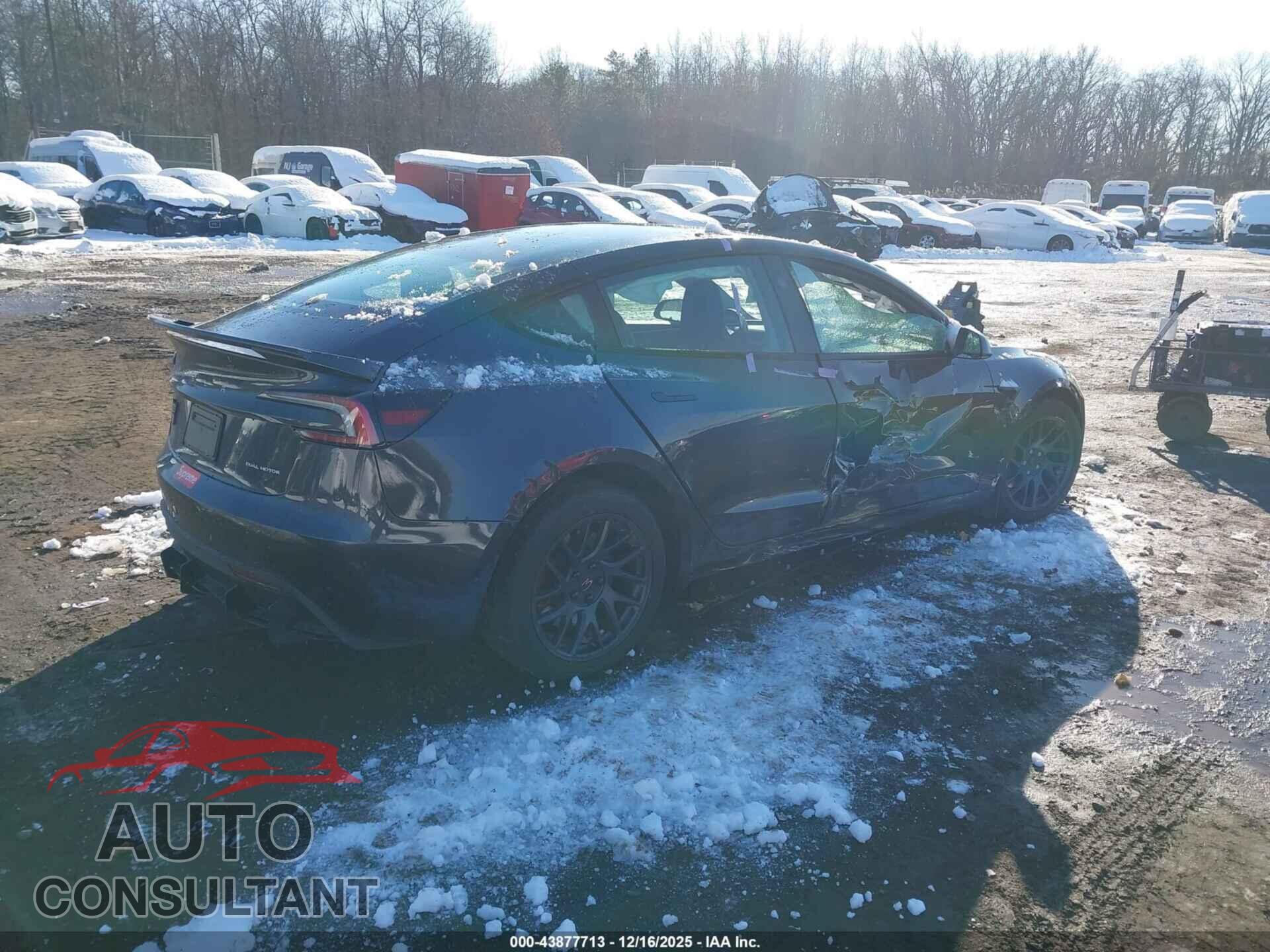 TESLA MODEL 3 2025 - 5YJ3E1EB1SF021815