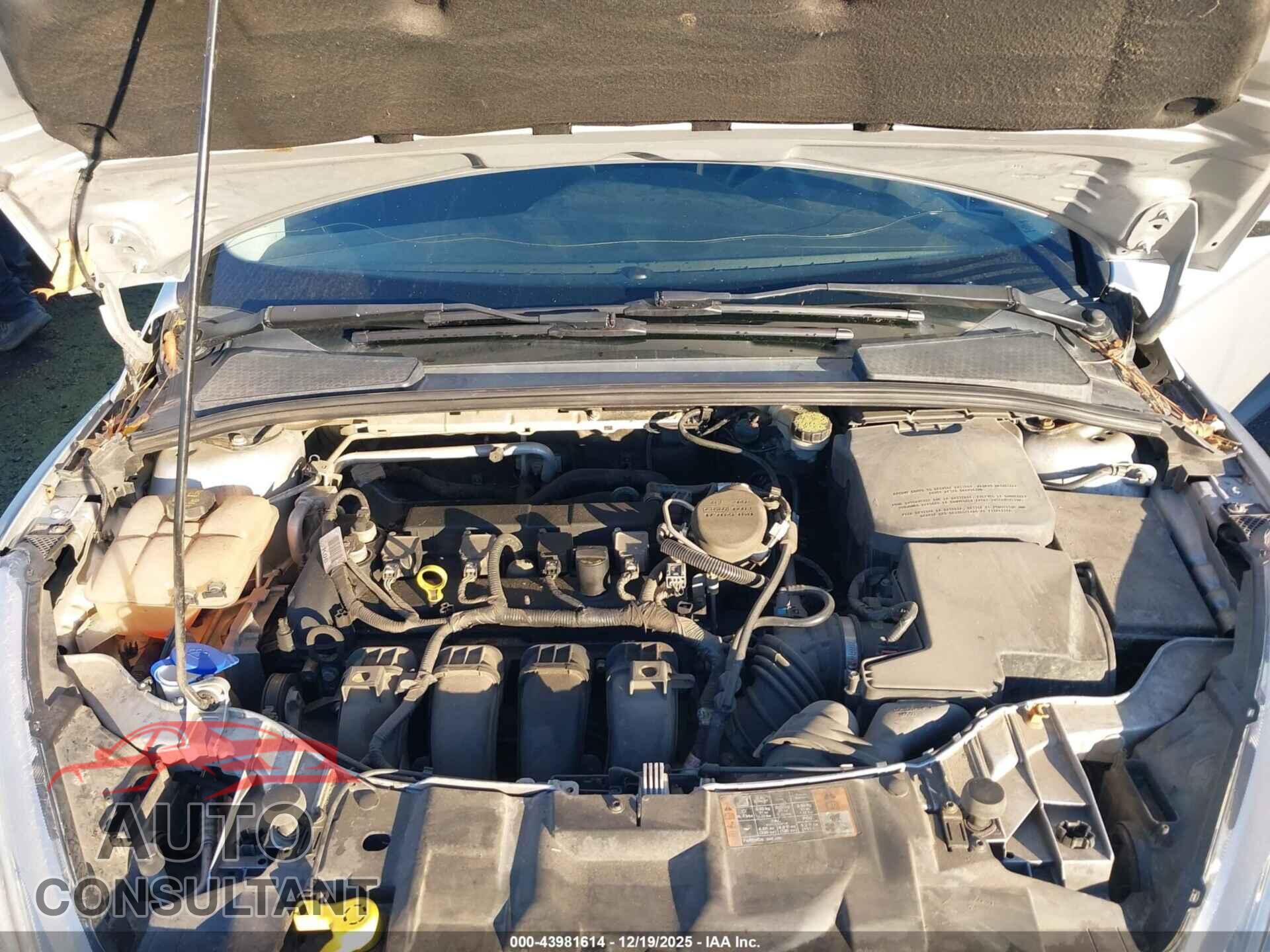 FORD FOCUS 2016 - 1FADP3F24GL203673