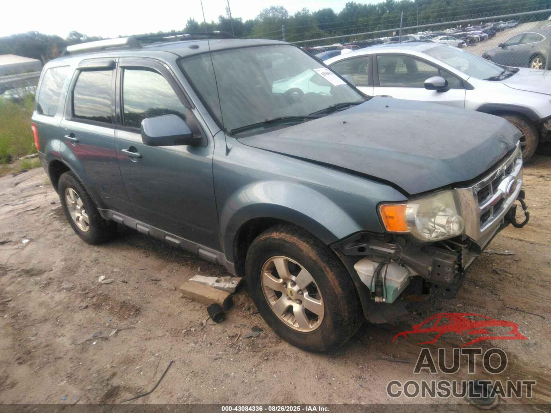 FORD ESCAPE 2010 - 1FMCU9EG0AKD01252
