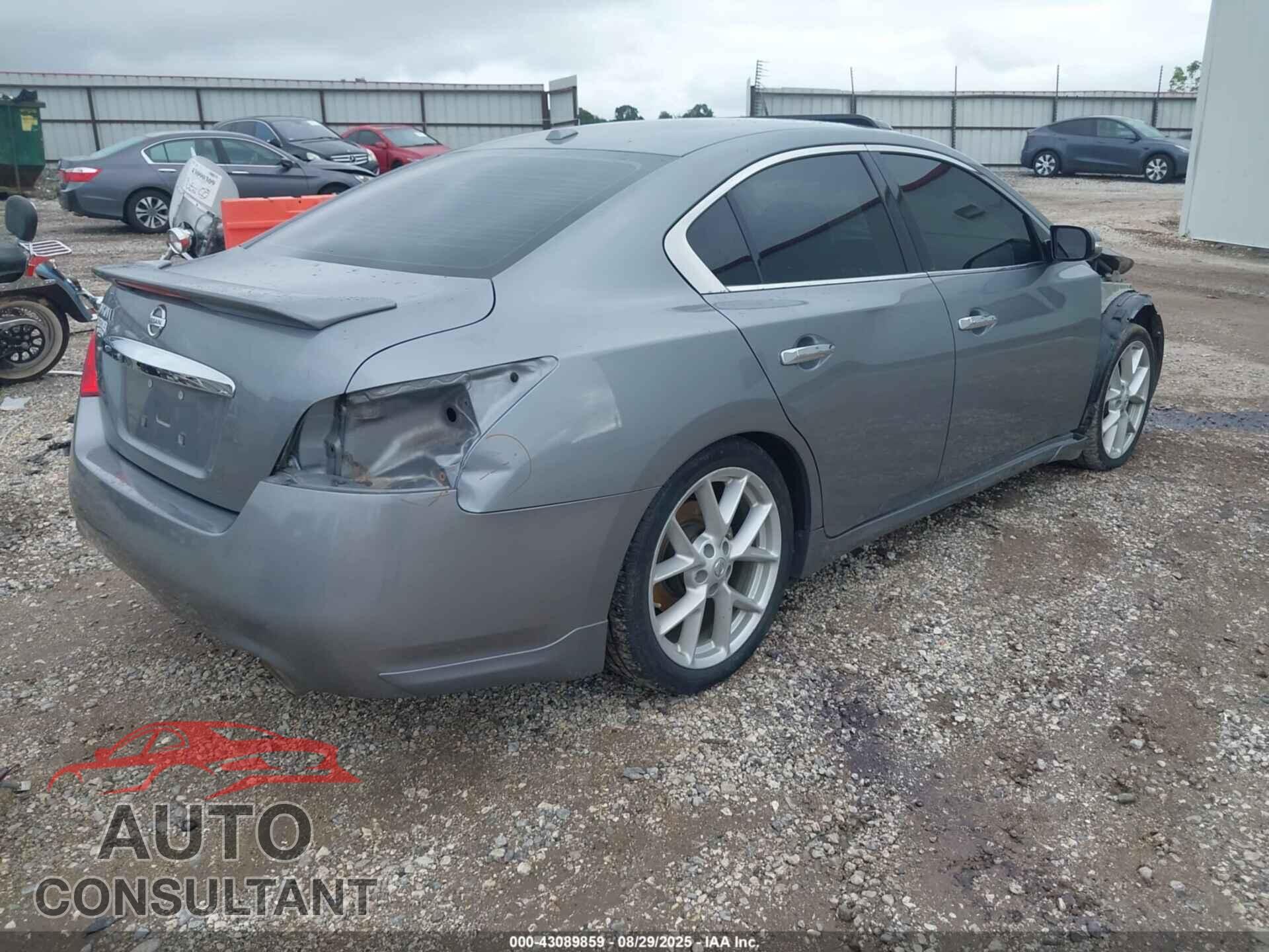 NISSAN MAXIMA 2009 - 1N4AA51E49C845136