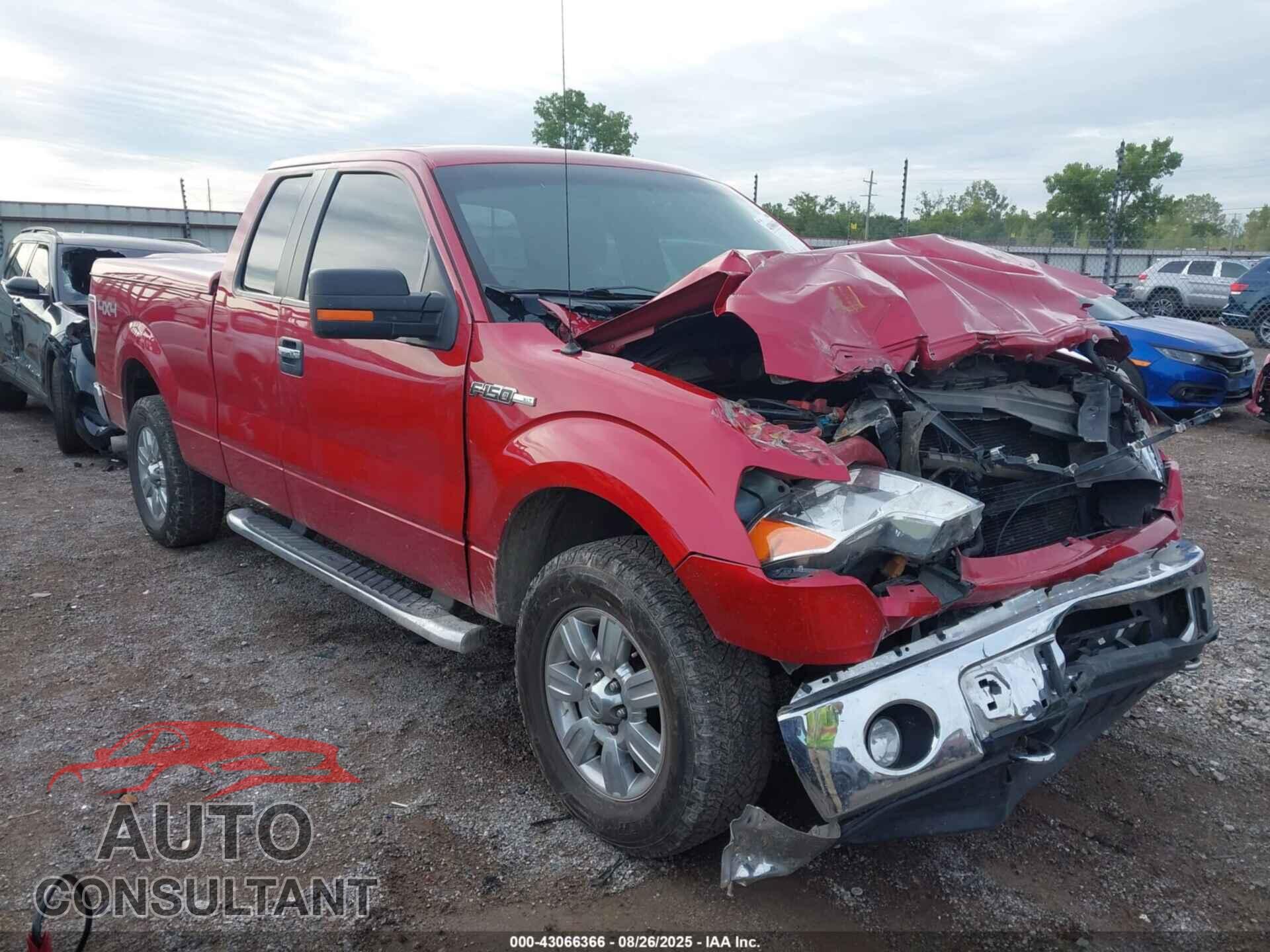 FORD F-150 2011 - 1FTFX1EF2BFC43558