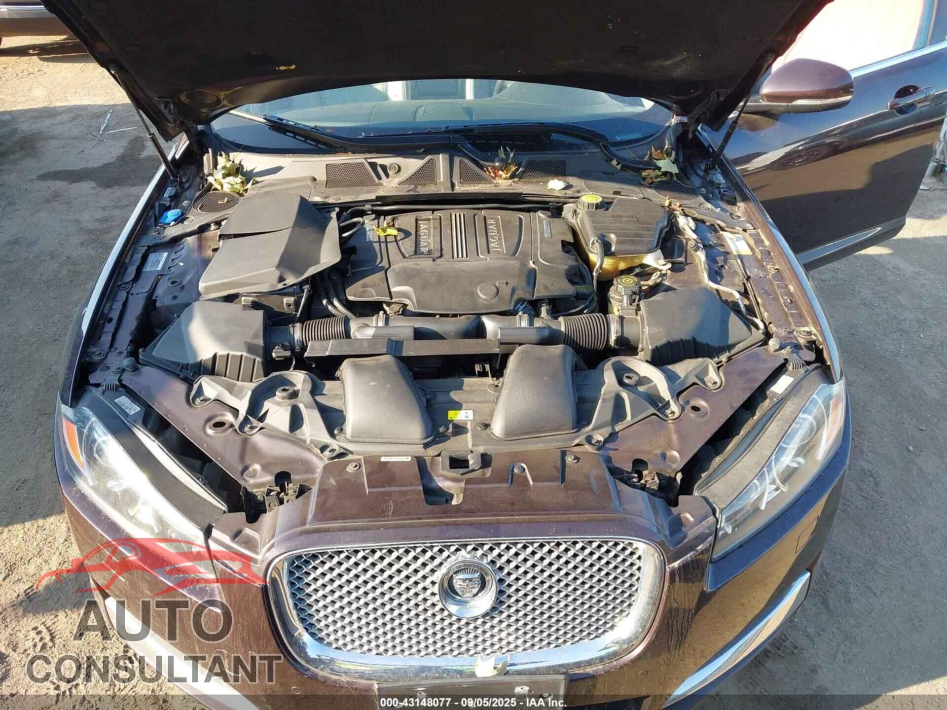 JAGUAR XF 2013 - SAJWJ0EF8D8S76701