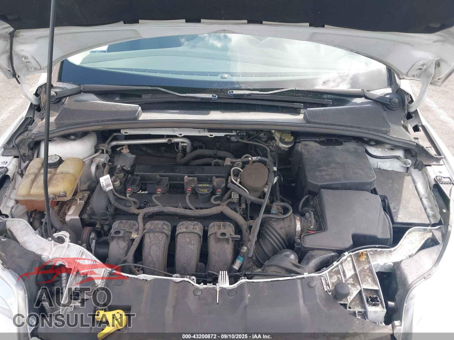 FORD FOCUS 2013 - 1FADP3K25DL264080