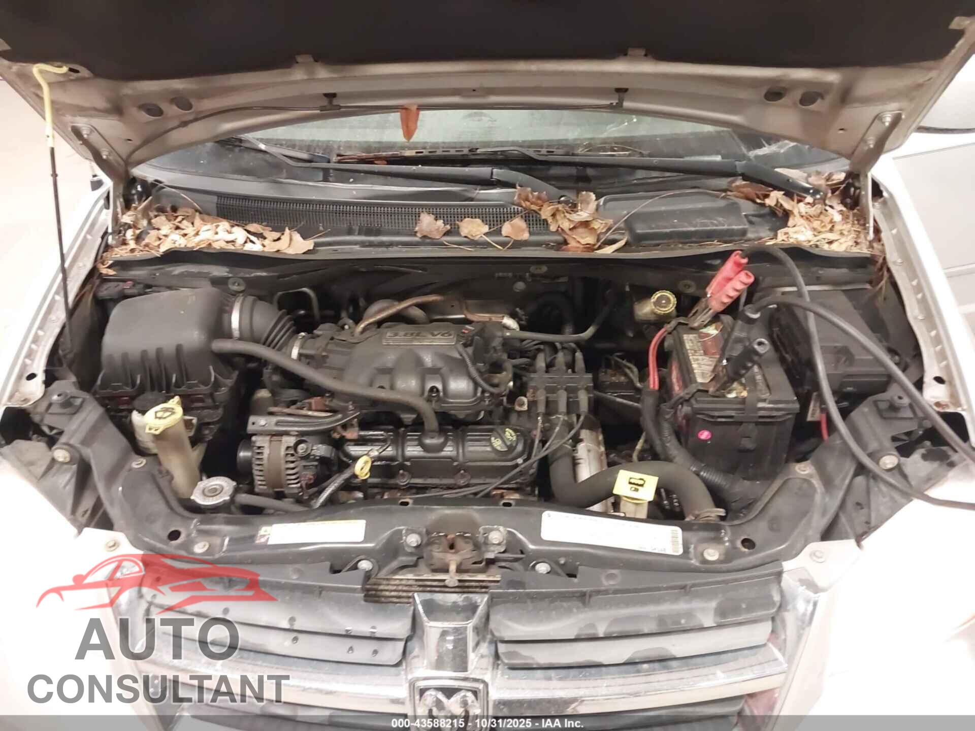 DODGE GRAND CARAVAN 2010 - 2D4RN5D13AR201510