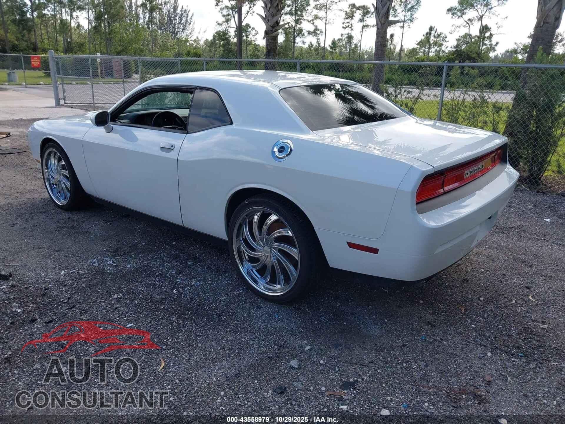 DODGE CHALLENGER 2013 - 2C3CDYAG5DH693813