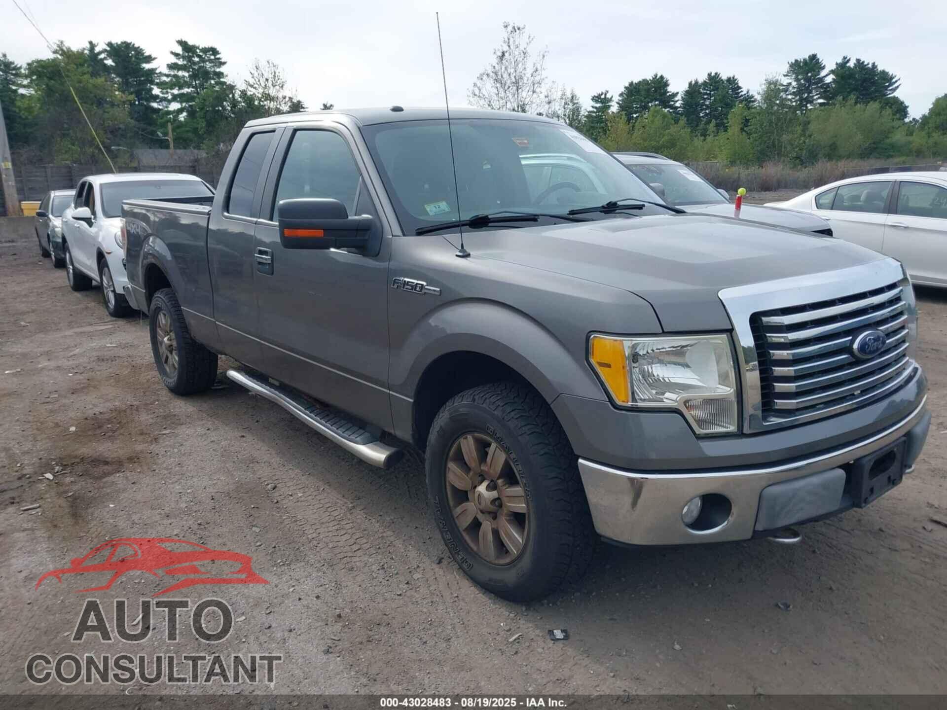 FORD F-150 2010 - 1FTFX1EV3AFD21772