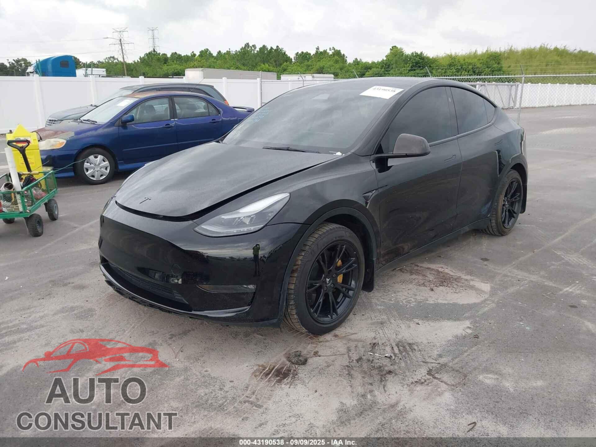 TESLA MODEL Y 2023 - 7SAYGAEE5PF830903