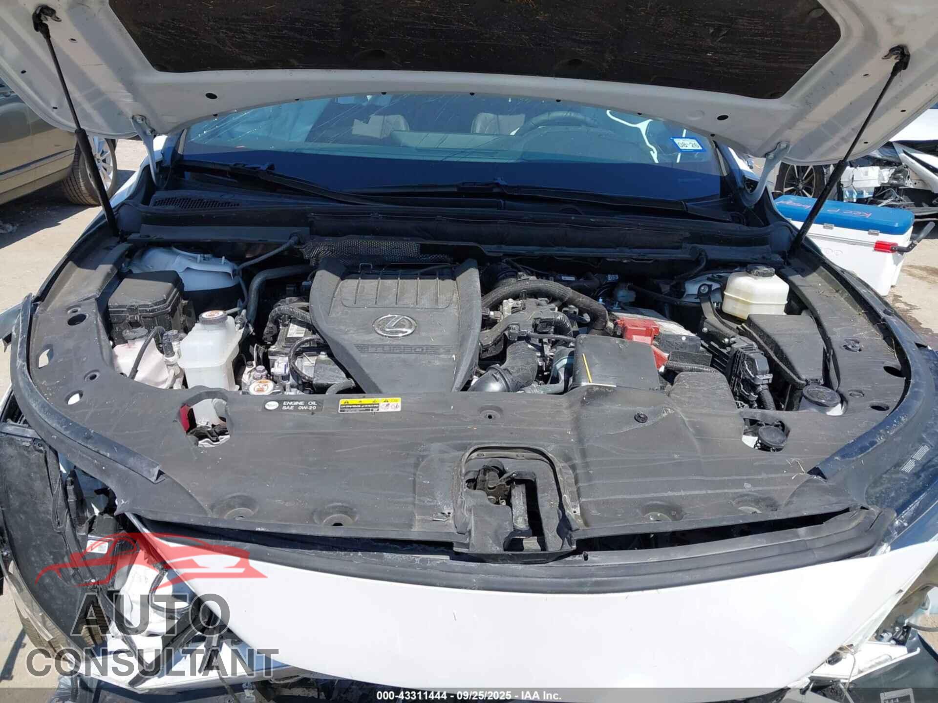 LEXUS RX 350 2024 - 2T2BAMBA2RC044387