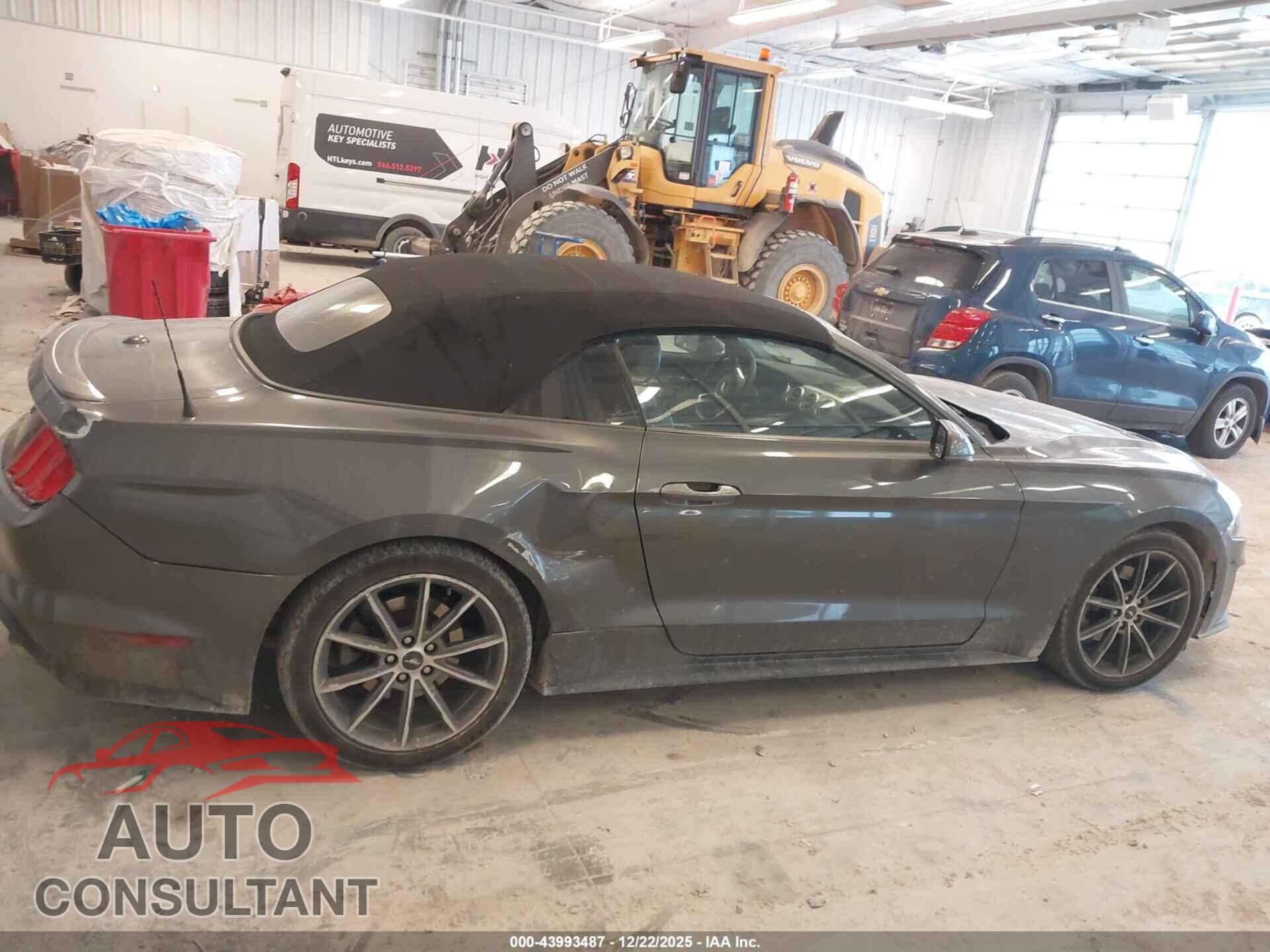 FORD MUSTANG 2019 - 1FATP8UH3K5159257