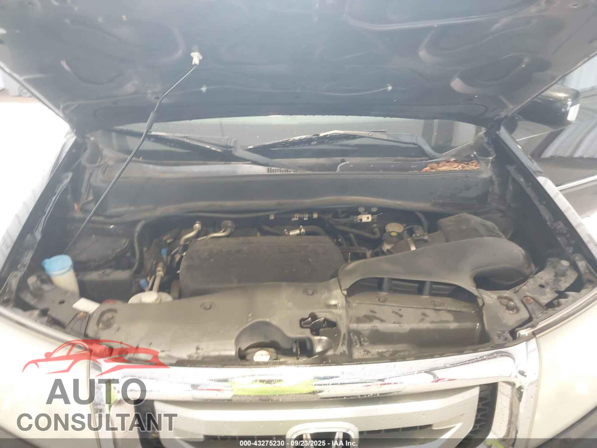 HONDA PILOT 2011 - 5FNYF4H97BB089386