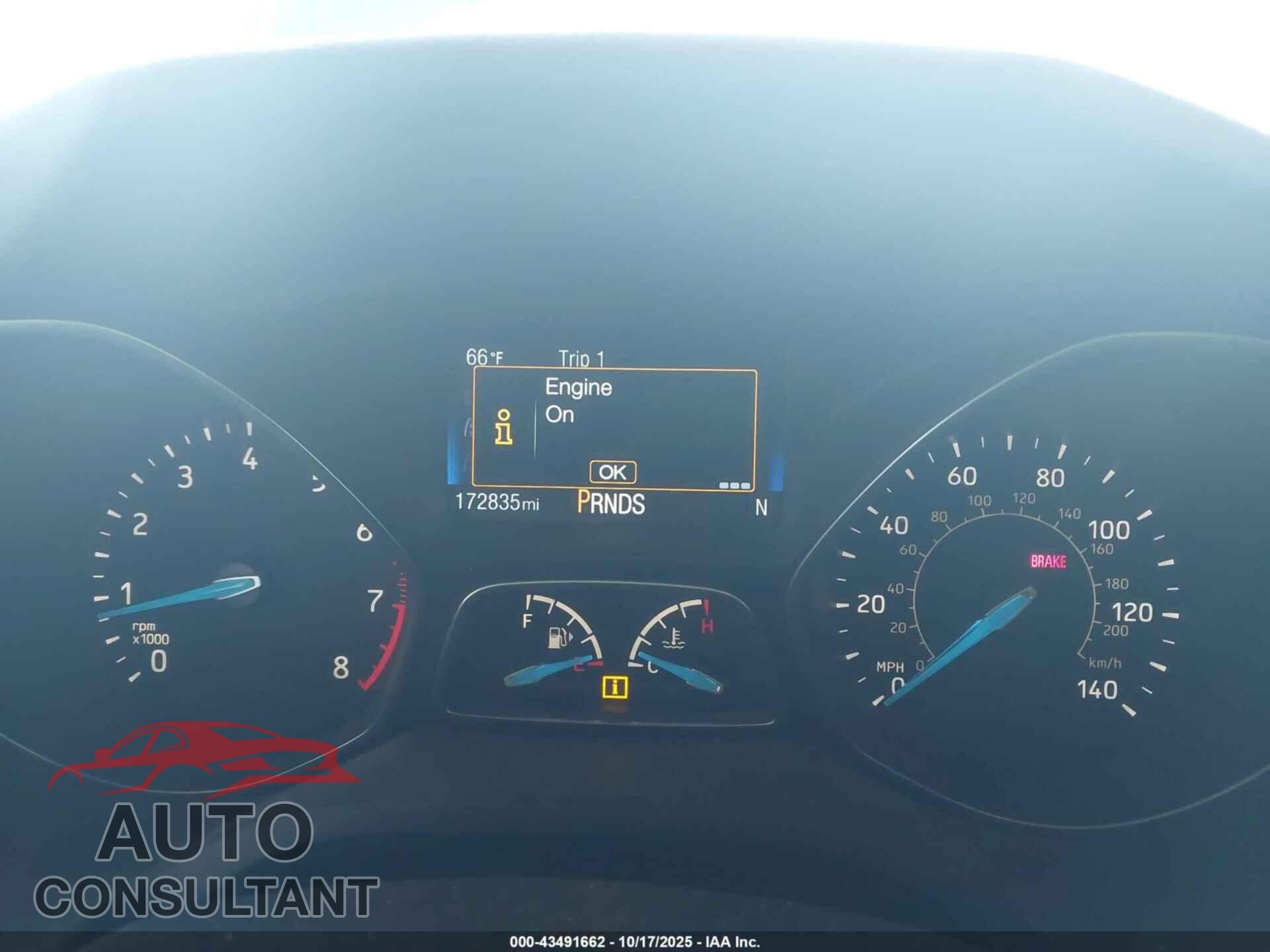 FORD FOCUS 2016 - 1FADP3K29GL406192