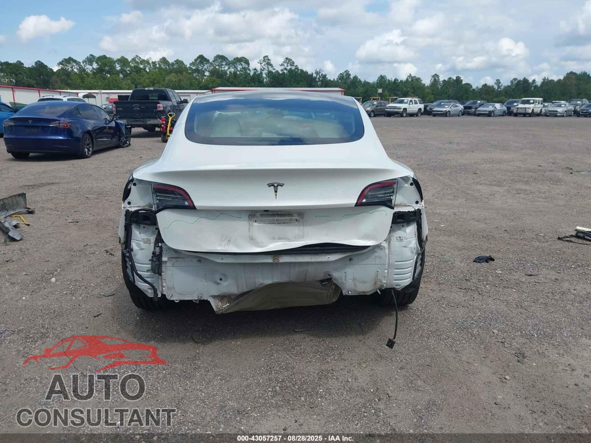 TESLA MODEL 3 2021 - 5YJ3E1EA6MF030648