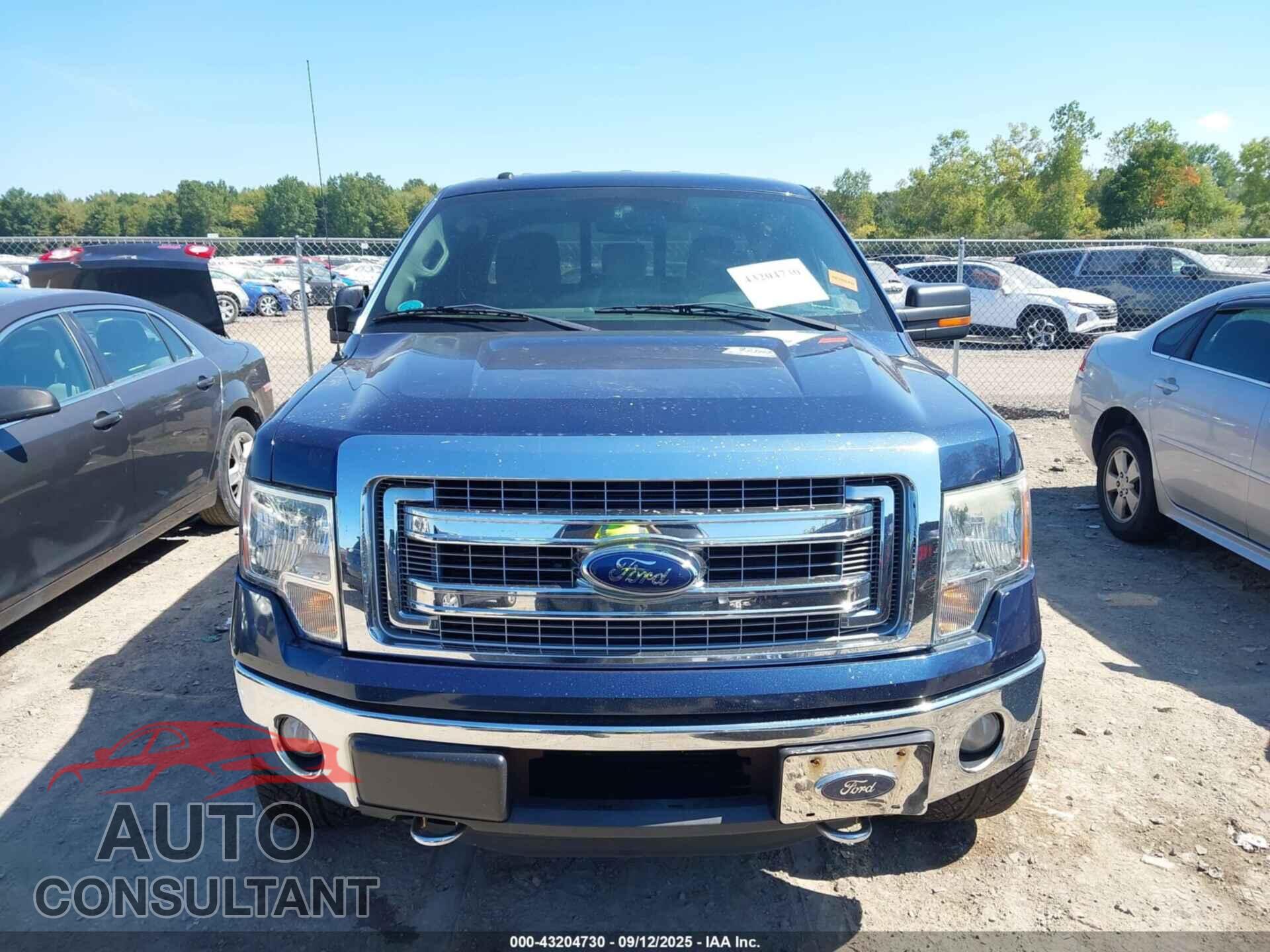 FORD F-150 2013 - 1FTFX1ET1DFD53994