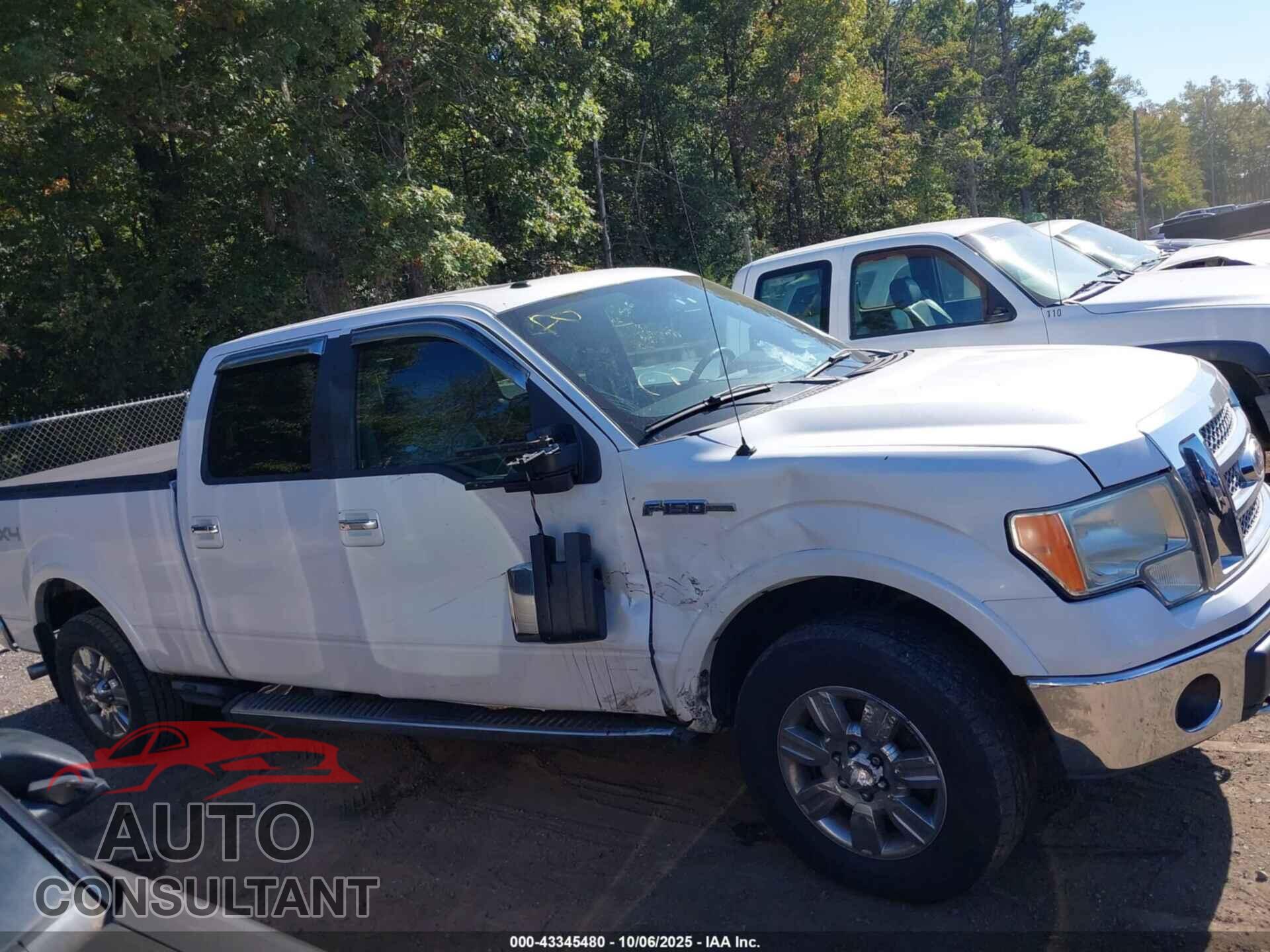 FORD F-150 2010 - 1FTFW1EV3AFA60212