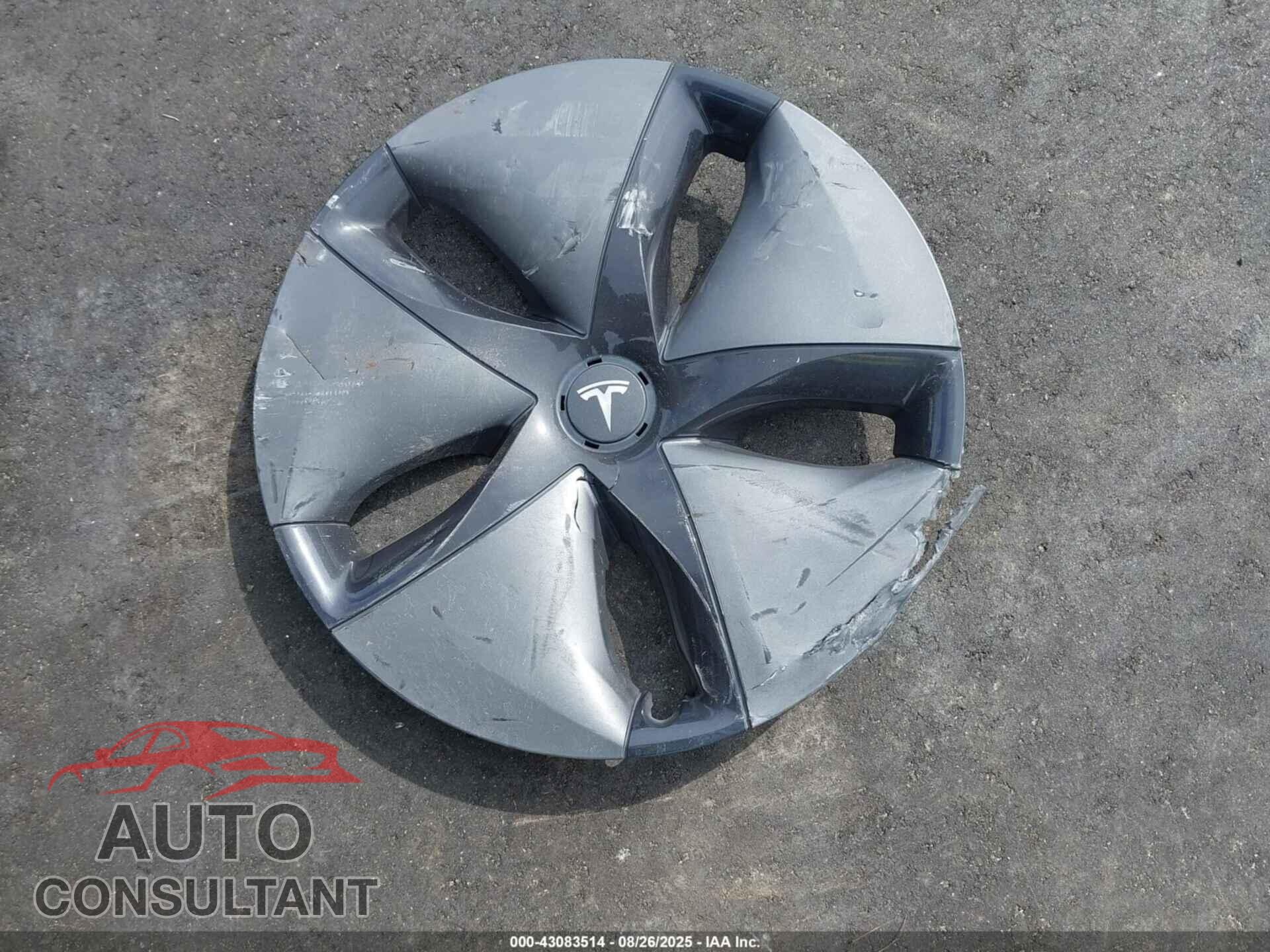TESLA MODEL 3 2019 - 5YJ3E1EB7KF191225