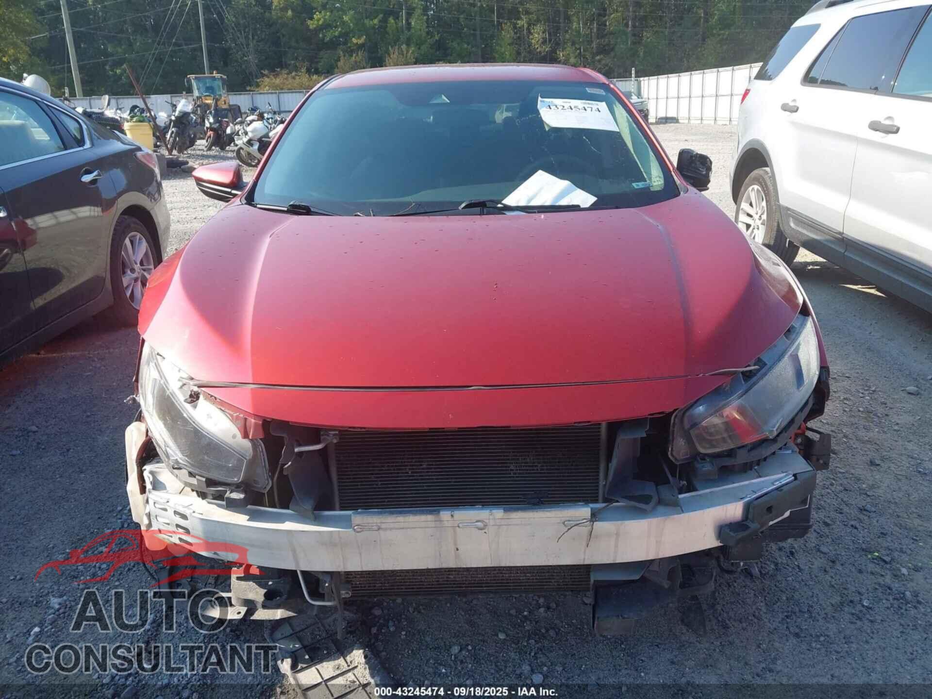 HONDA CIVIC 2019 - 2HGFC2F67KH562406
