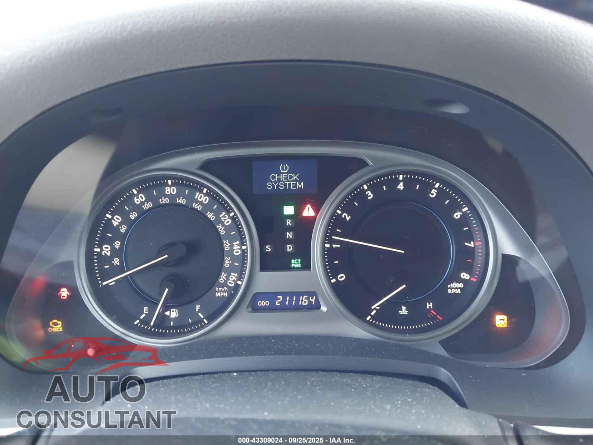 LEXUS IS 250 2009 - JTHBK262892091168