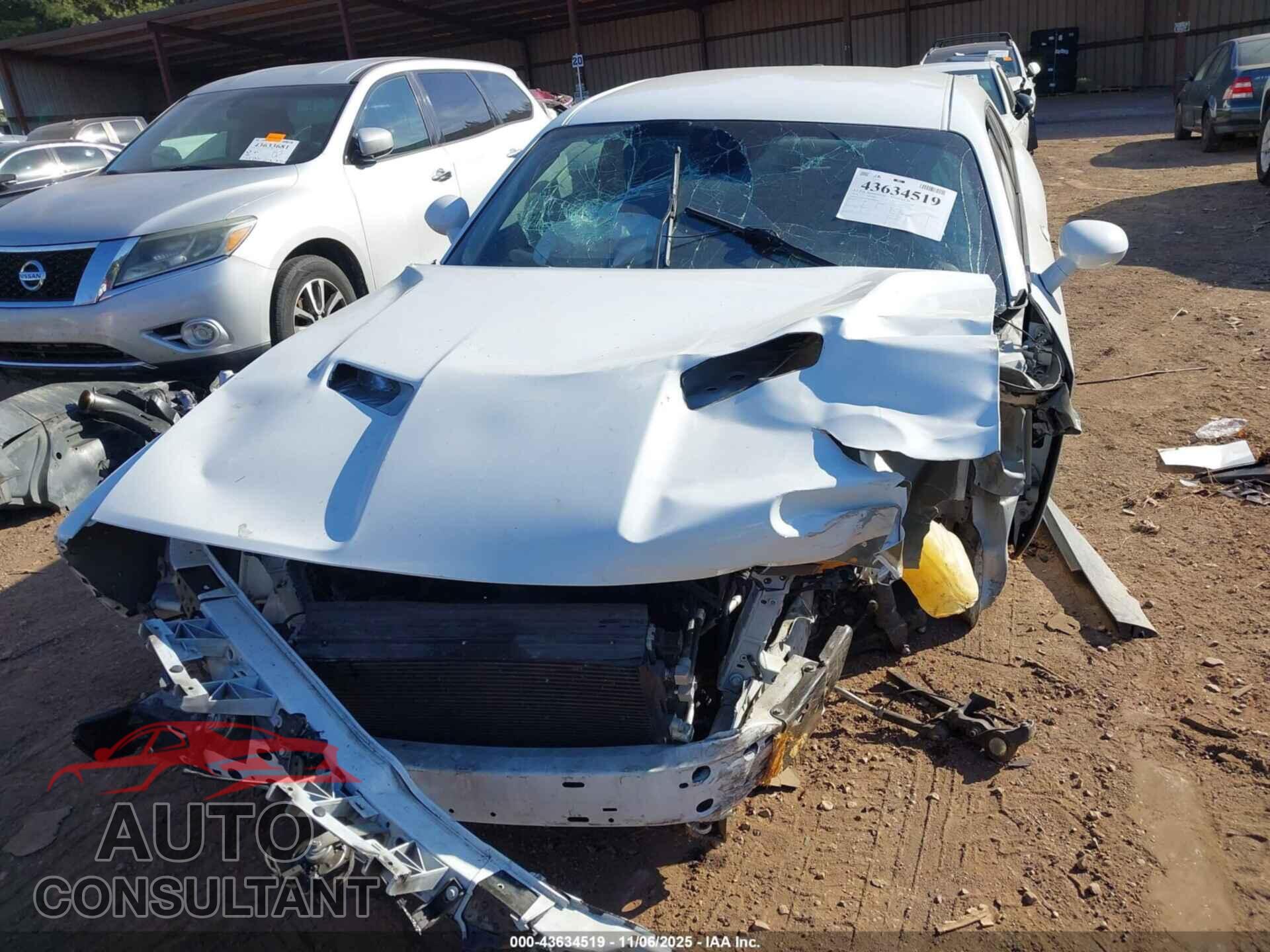 DODGE CHALLENGER 2019 - 2C3CDZAG9KH666584