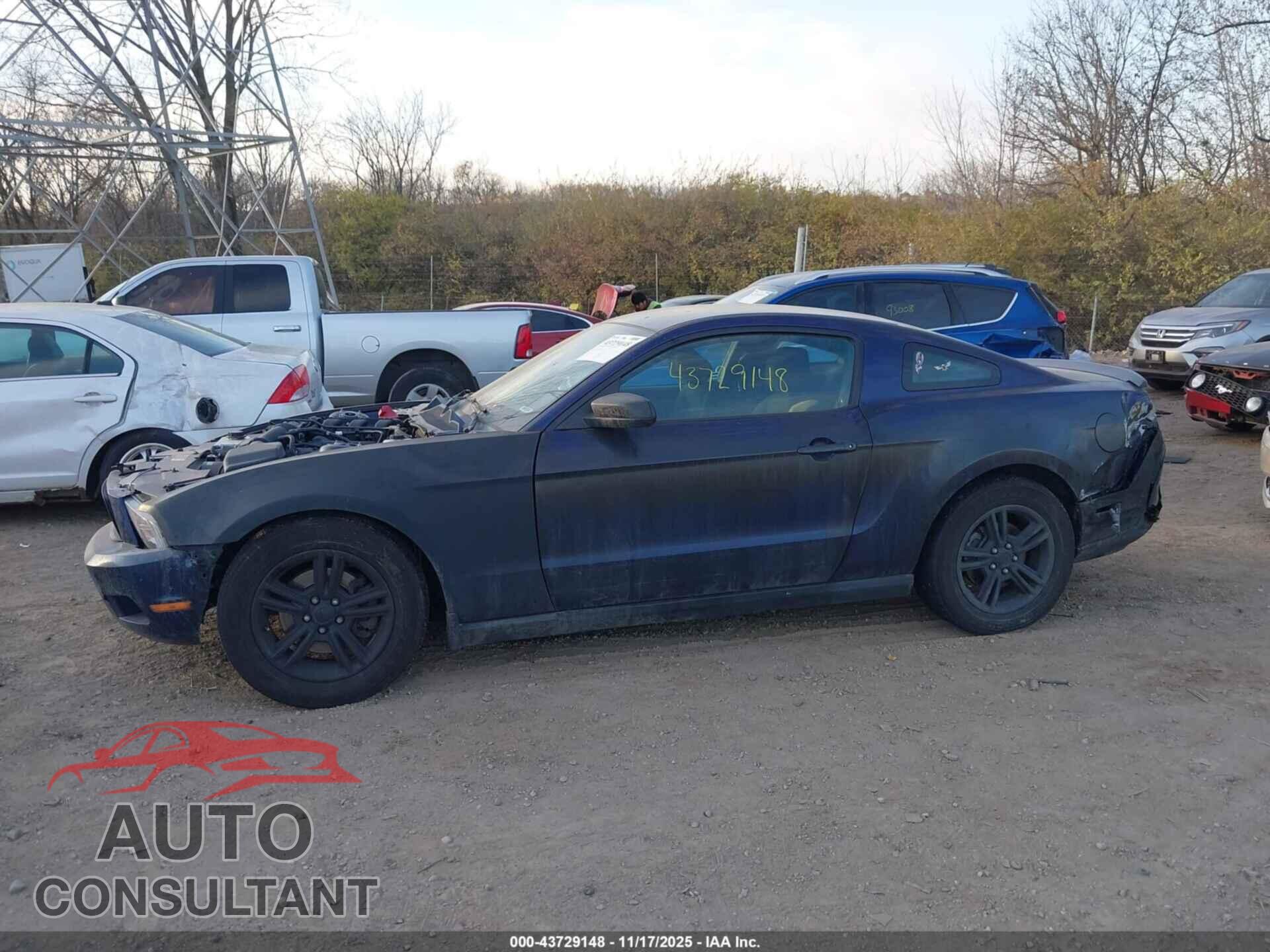 FORD MUSTANG 2012 - 1ZVBP8AM8C5283627