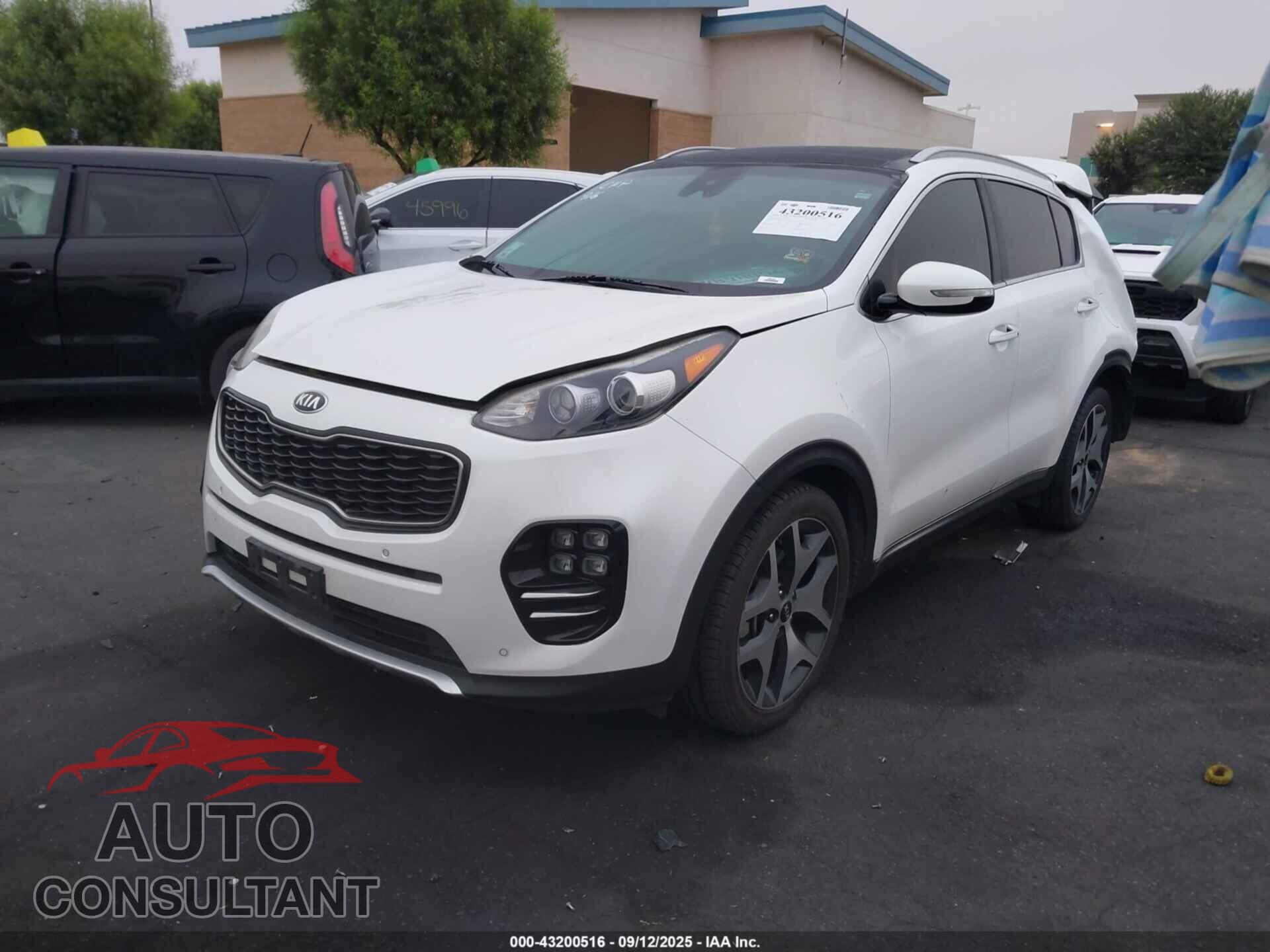 KIA SPORTAGE 2017 - KNDPR3A63H7239702