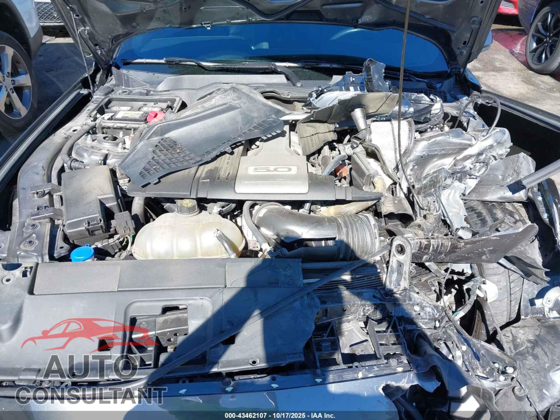 FORD MUSTANG 2020 - 1FA6P8CF1L5145999