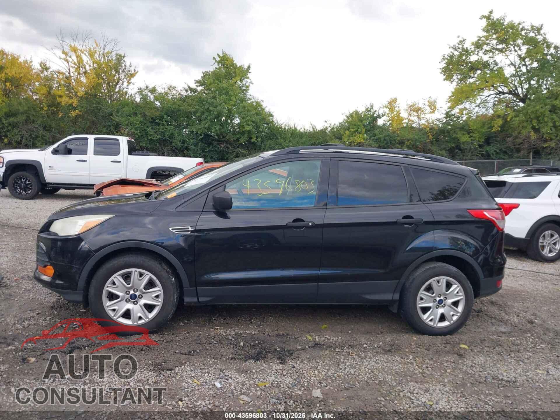 FORD ESCAPE 2013 - 1FMCU0F72DUA03076
