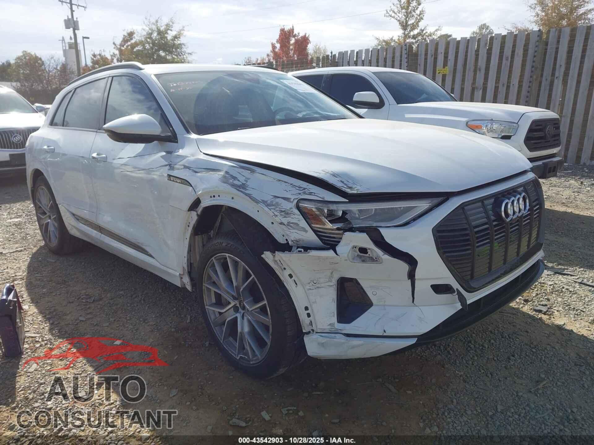 AUDI E-TRON 2021 - WA1VAAGE8MB038896