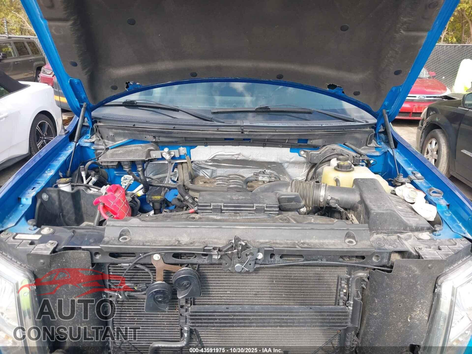 FORD F-150 2011 - 1FTFX1EFXBFC20108