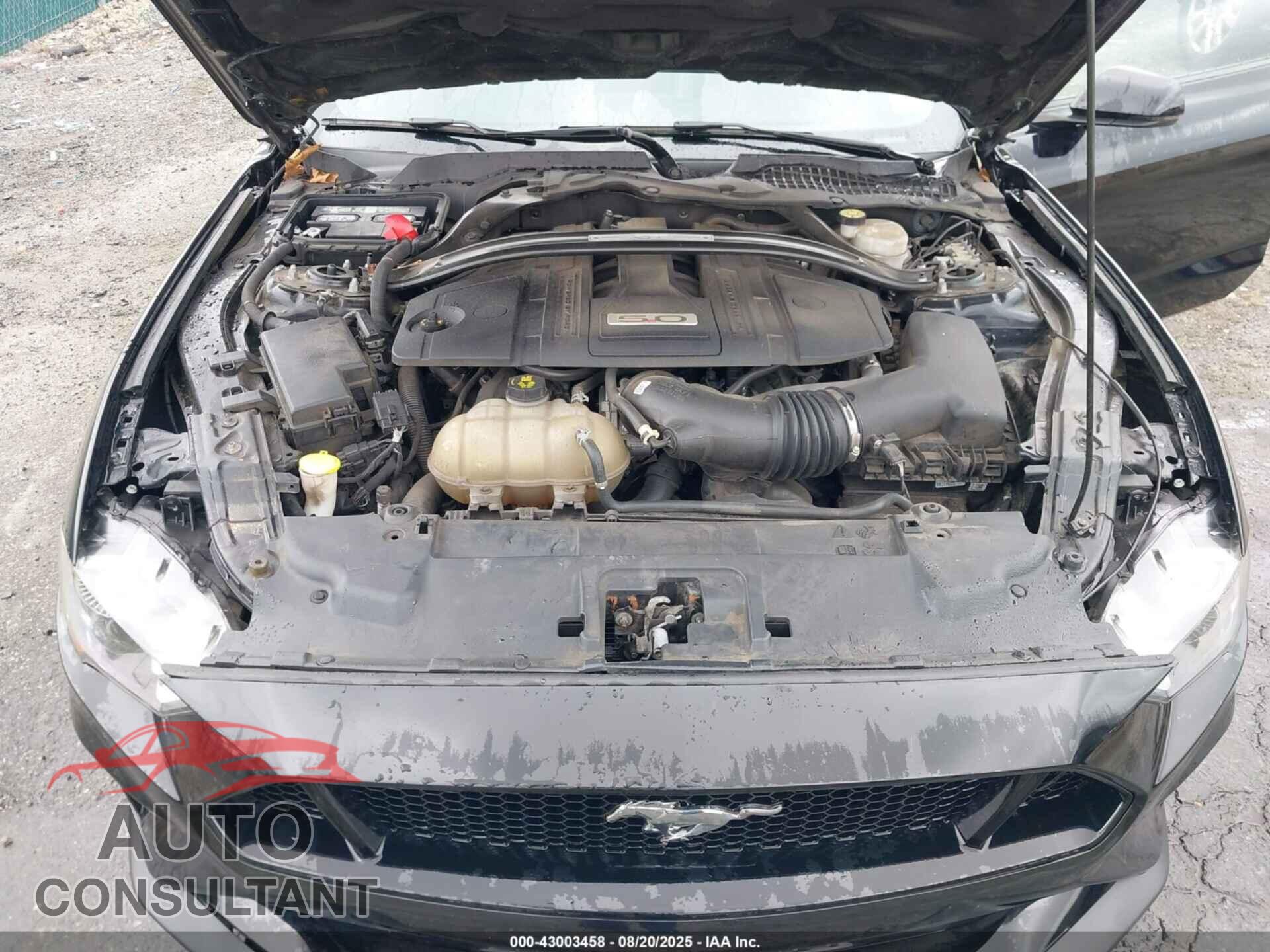 FORD MUSTANG 2021 - 1FA6P8CF0M5119492