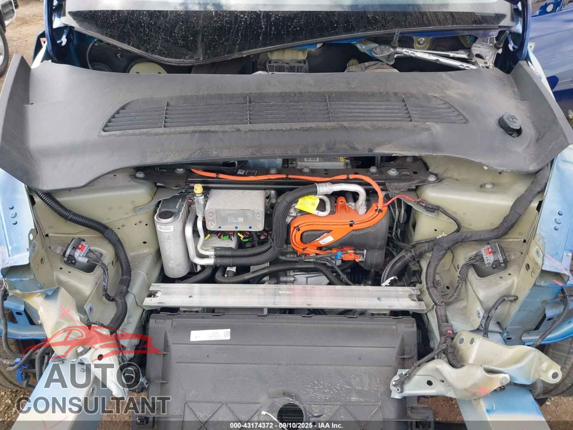 TESLA MODEL Y 2024 - 7SAYGDEF9RF021756