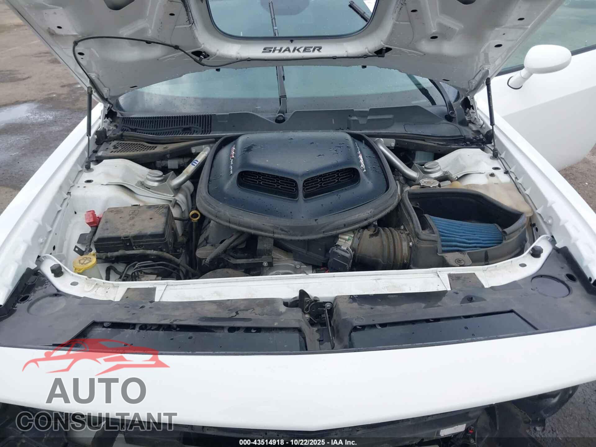 DODGE CHALLENGER 2019 - 2C3CDZFJ5KH595355