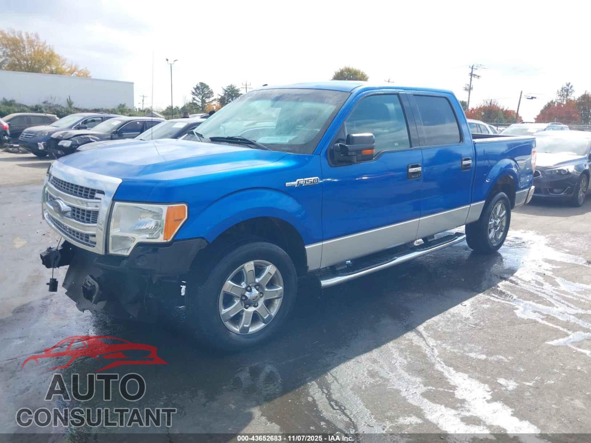 FORD F-150 2014 - 1FTEW1CM3EFB80782