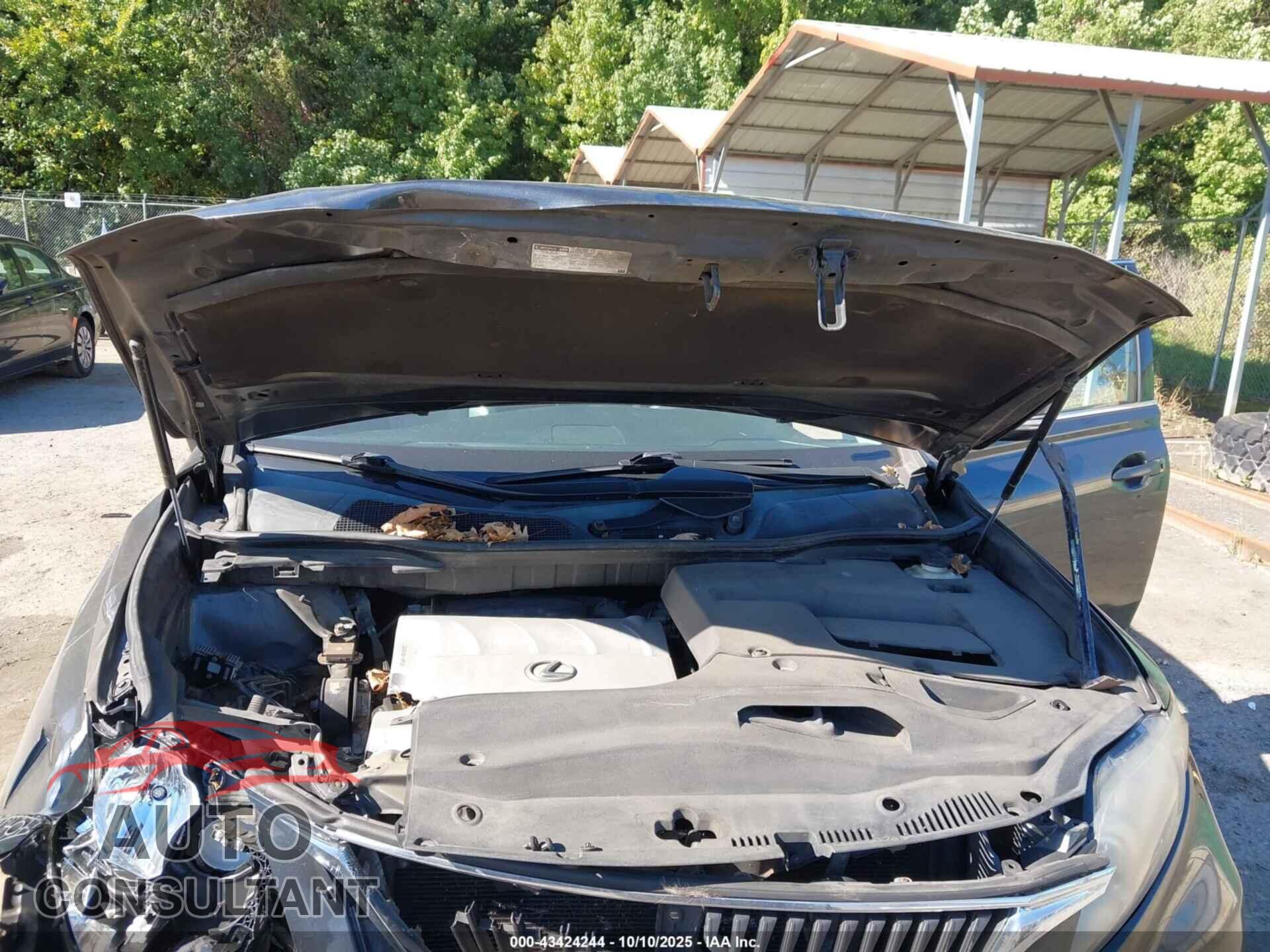 LEXUS RX 350 2010 - 2T2BK1BA5AC043850